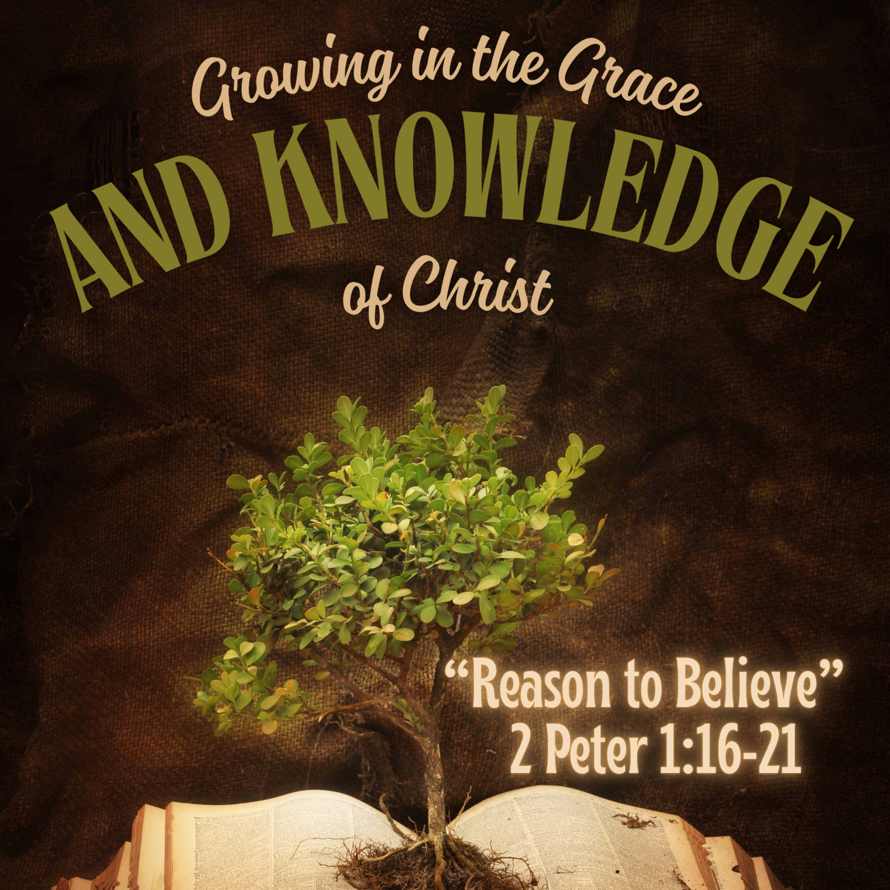 Reason to Believe episode artwork