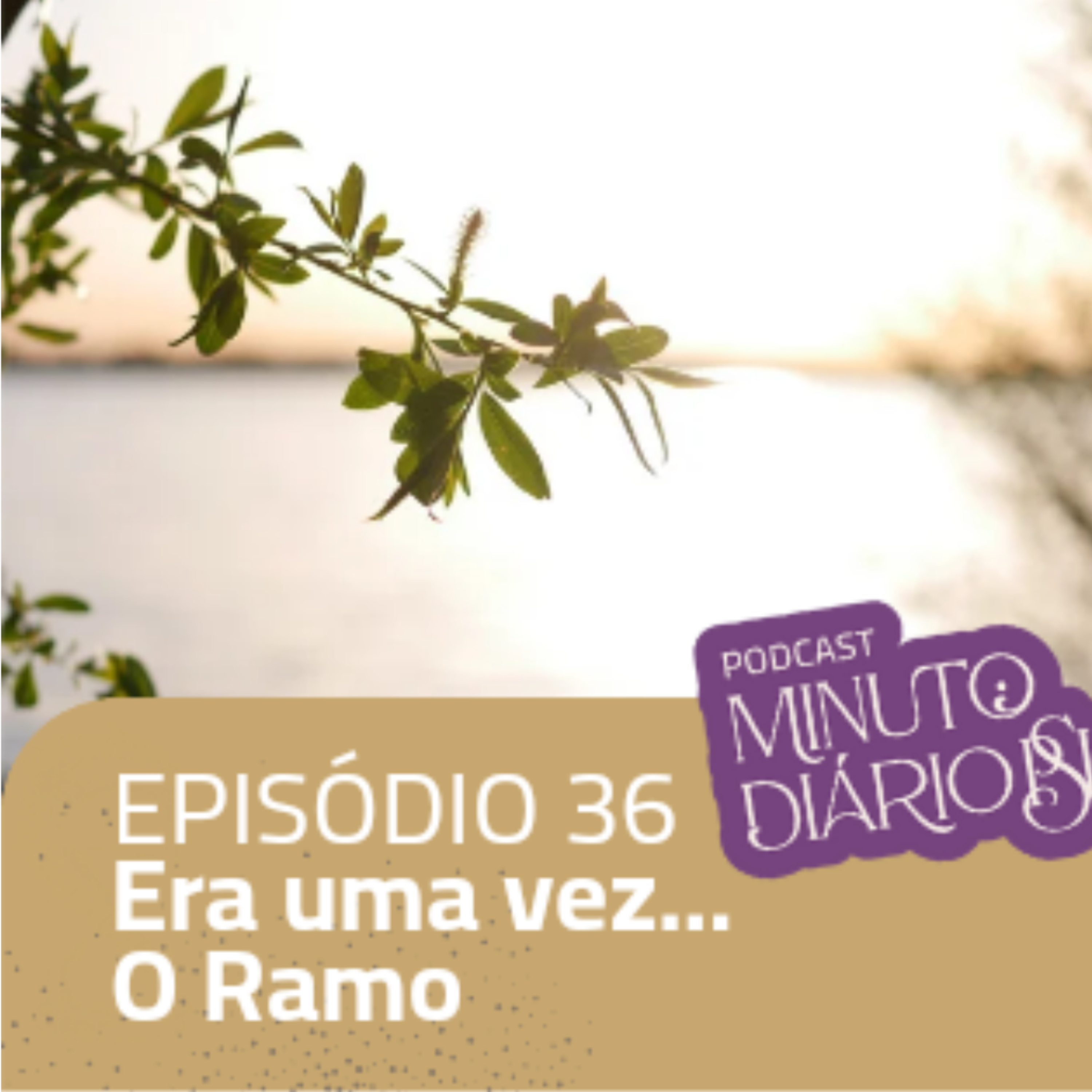 Minuto Diário Psi