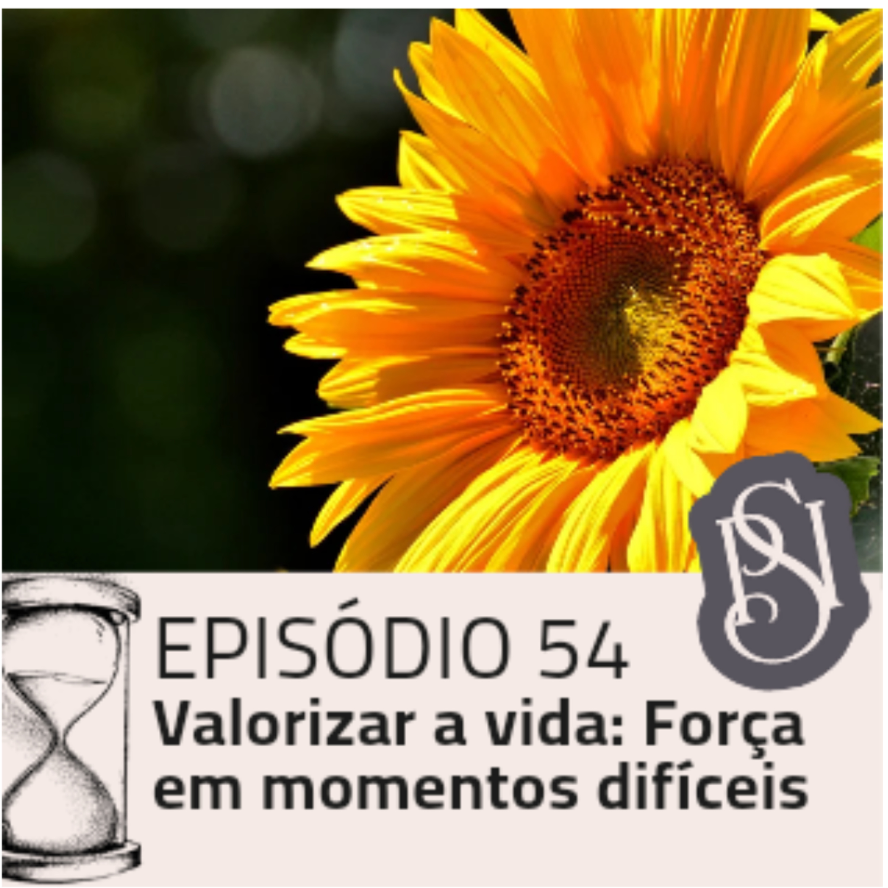 Minuto Diário Psi