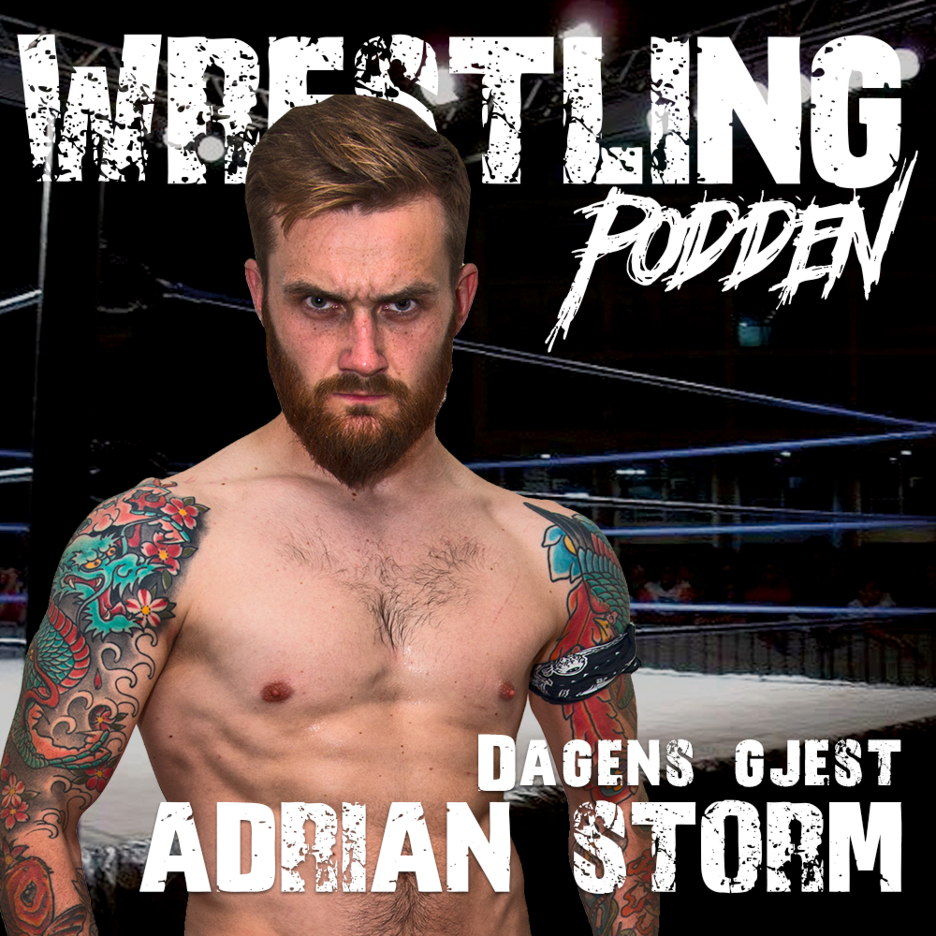 Adrian Storm - Del 2 episode artwork