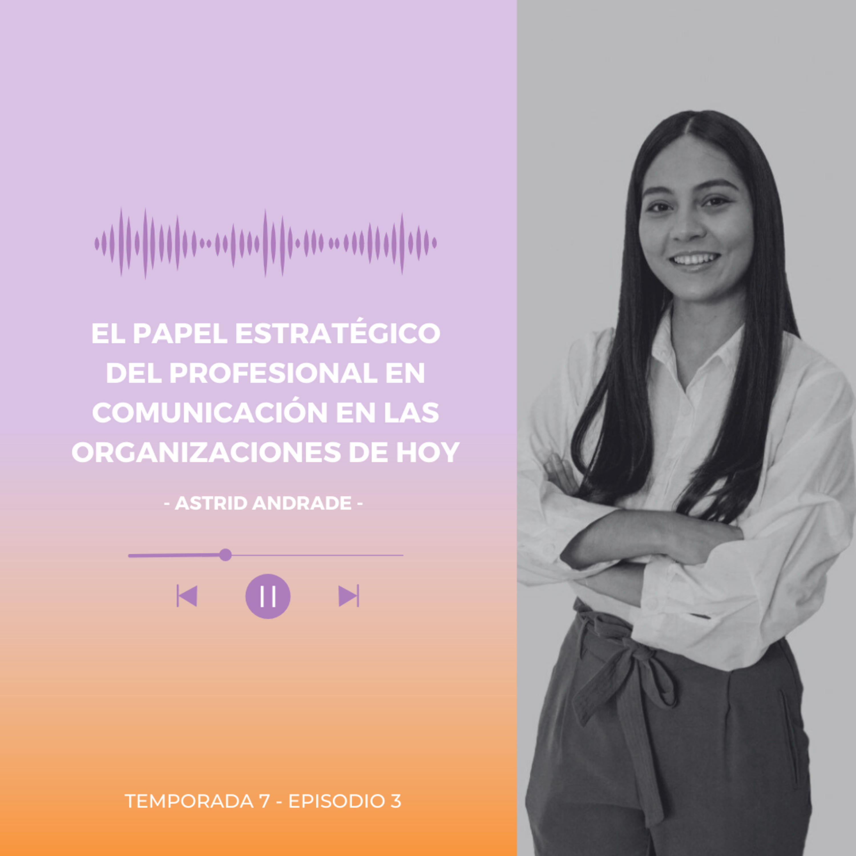 El Papel Estratégico del Profesional en Comunicación en las Organizaciones de Hoy episode artwork
