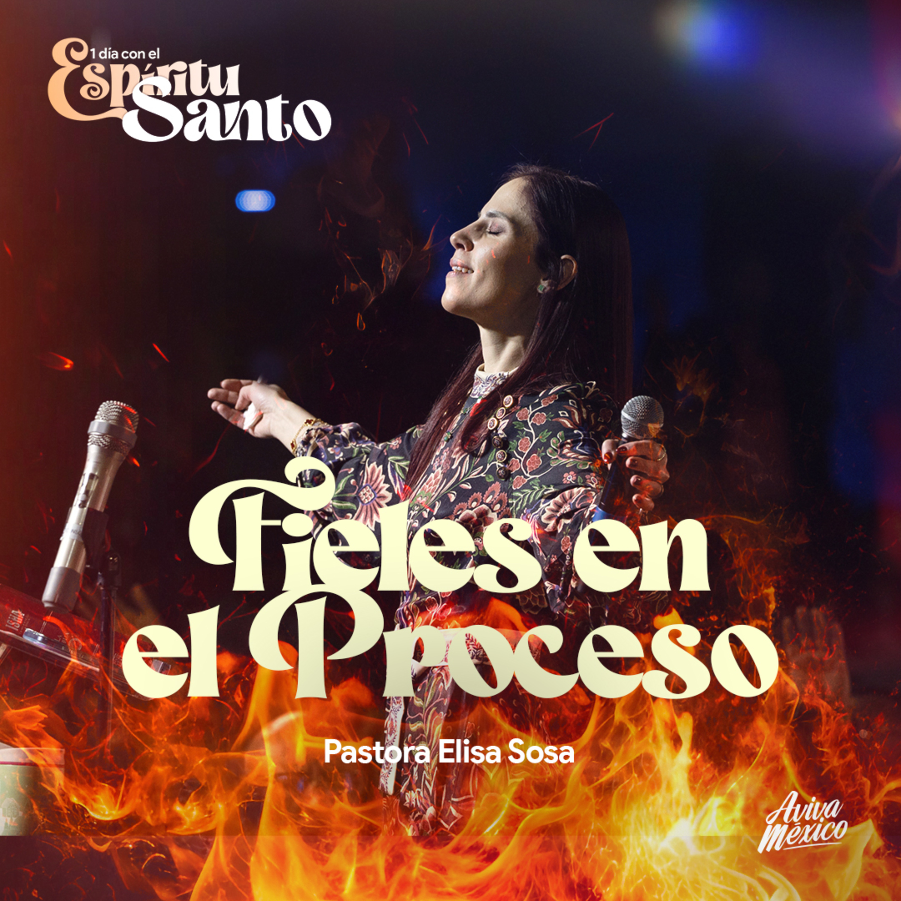 Fieles en el proceso episode artwork