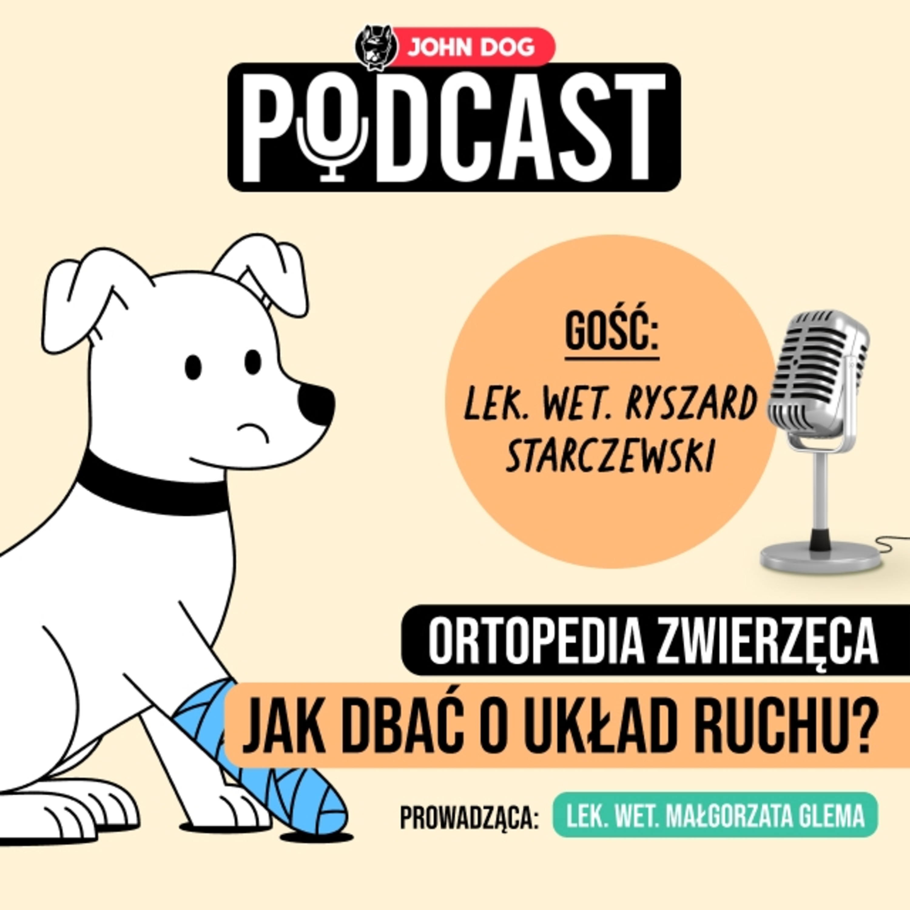 Eksperci o psach i kotach