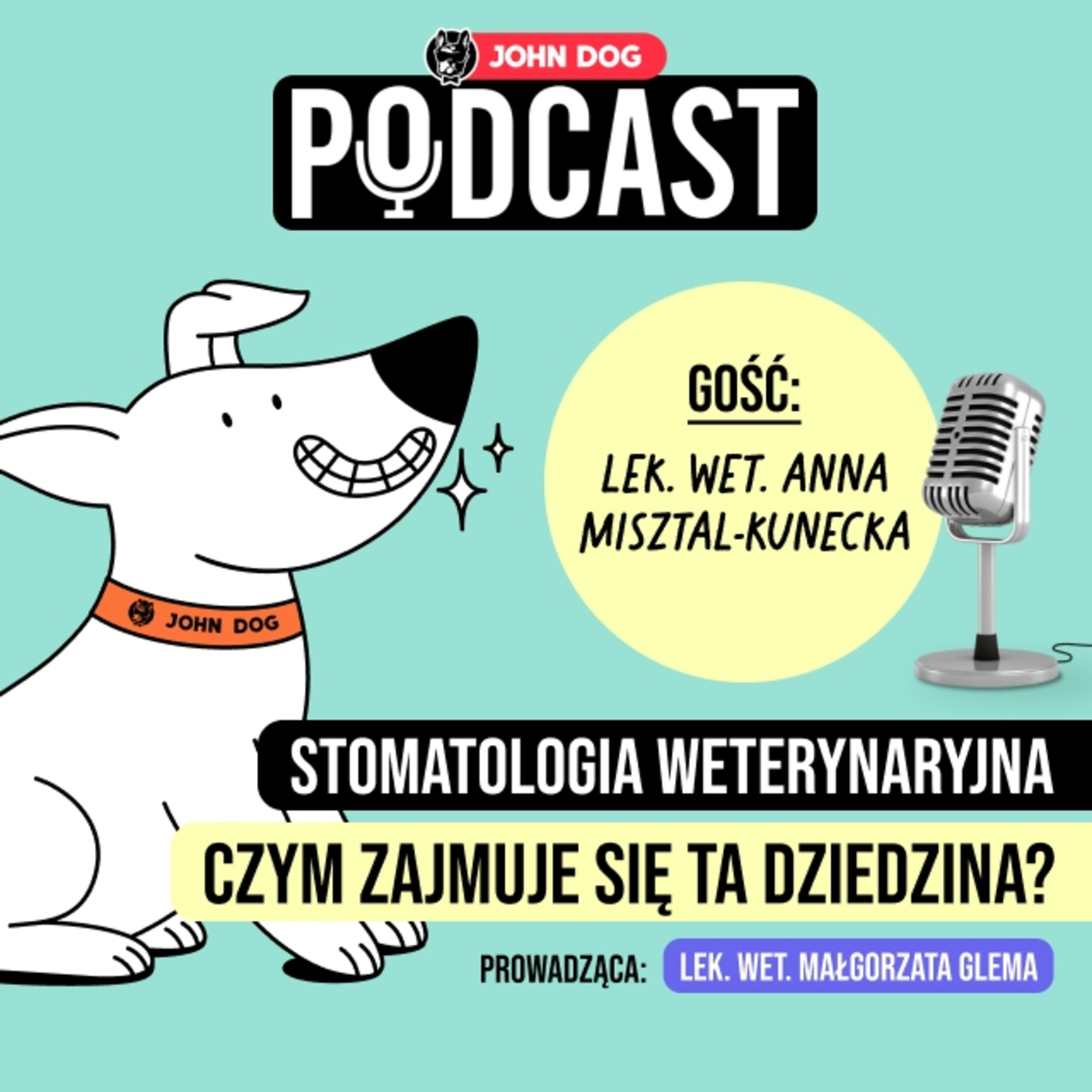 Eksperci o psach i kotach