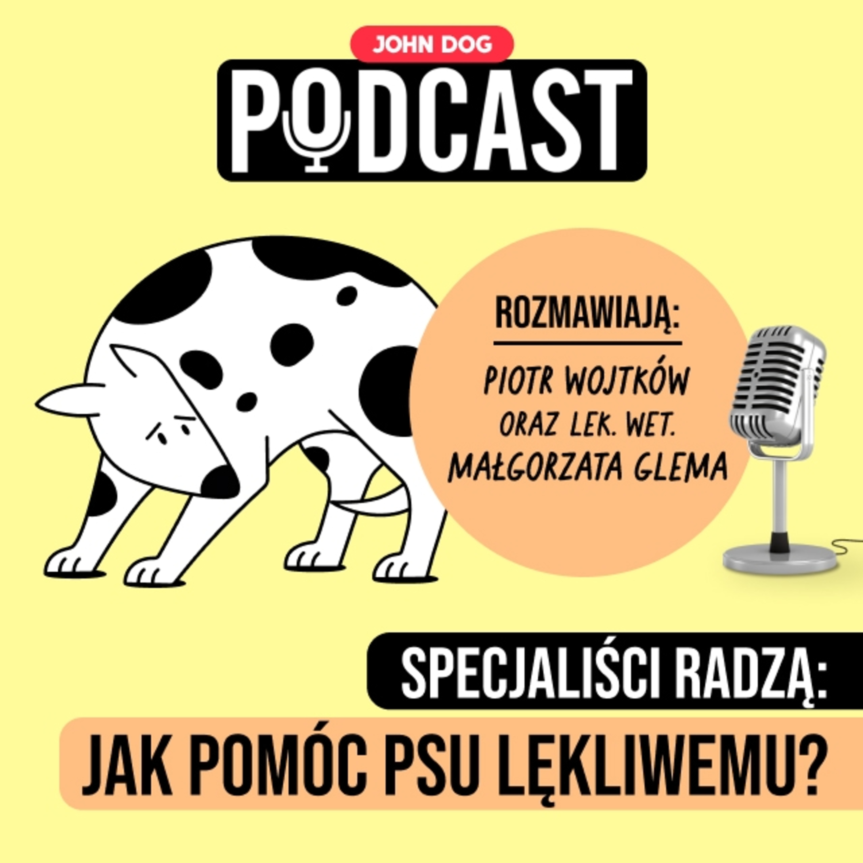 Eksperci o psach i kotach