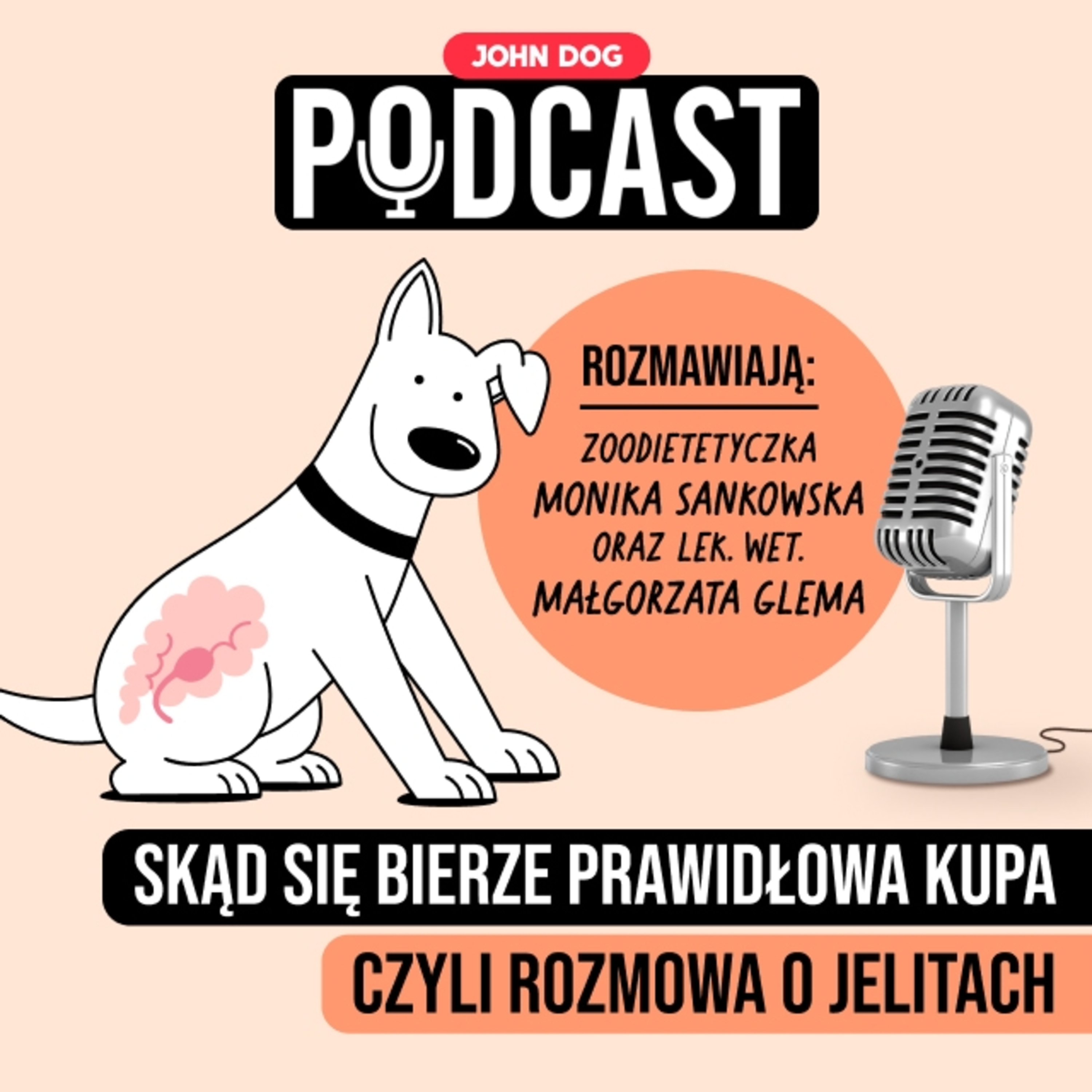 Eksperci o psach i kotach