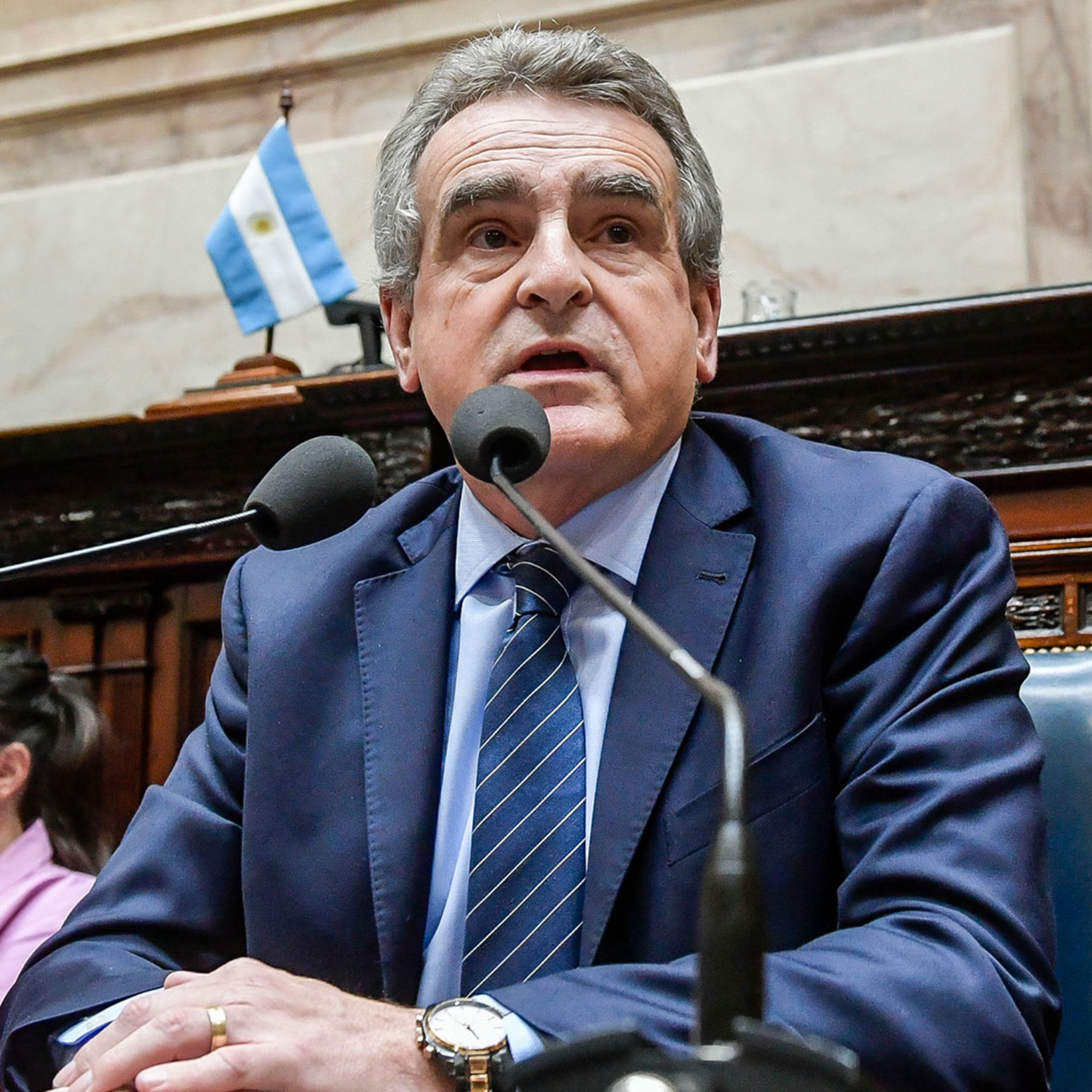 Rossi cuestionó la reforma de la SIDE y advirtió sobre “un esquema parapolicial sin controles” episode artwork