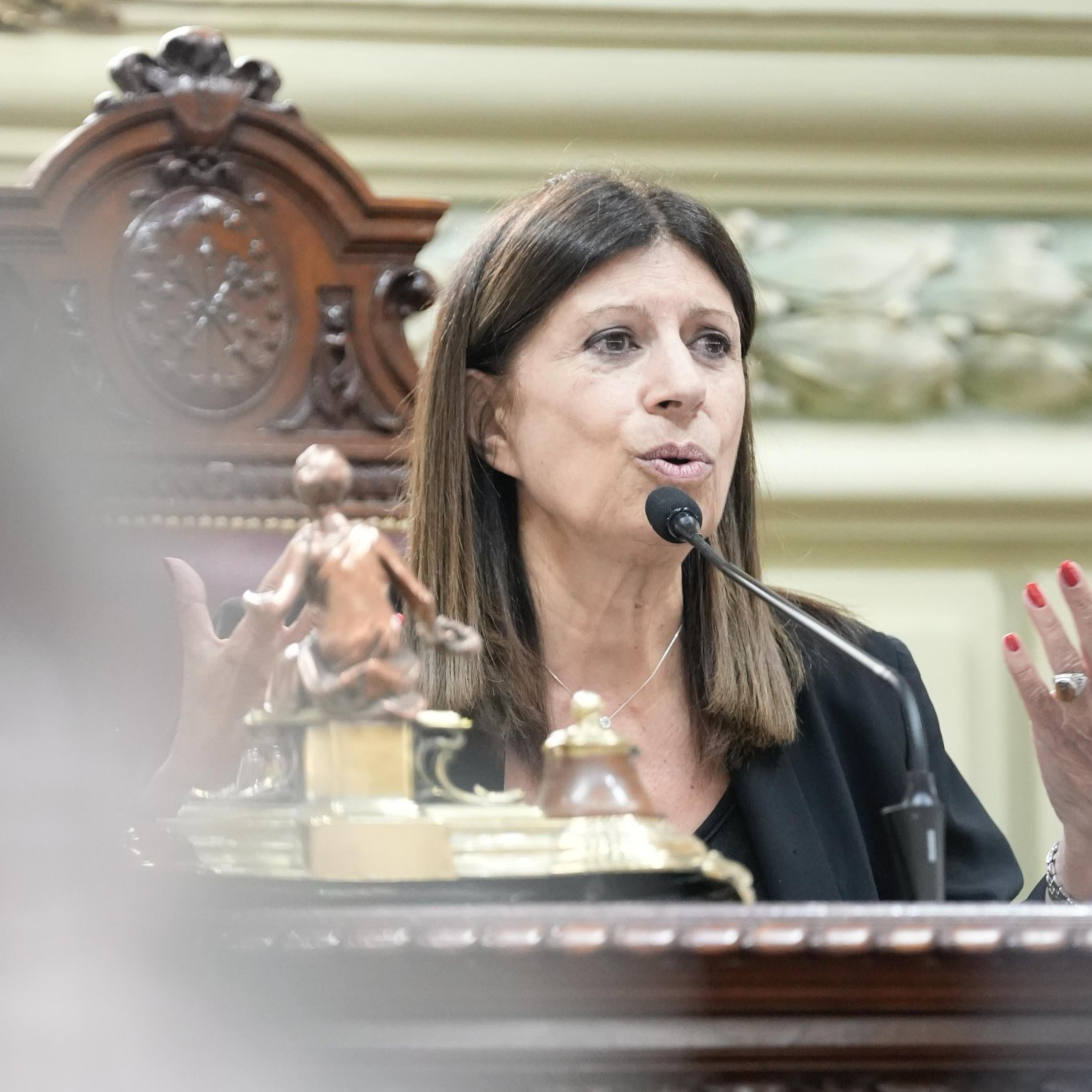 “Será un año legislativo de mucho trabajo”: Clara García fue ratificada al frente de Diputados episode artwork