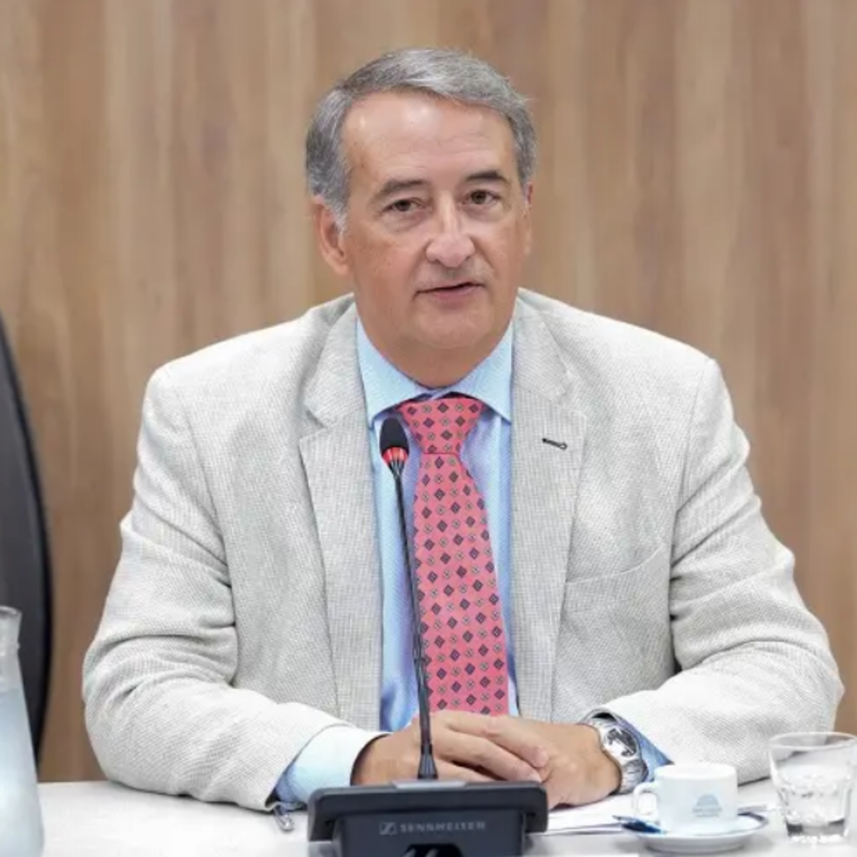 “Argentina se debía una modernización laboral”: Mayoraz defendió la reforma aprobada en Diputados episode artwork