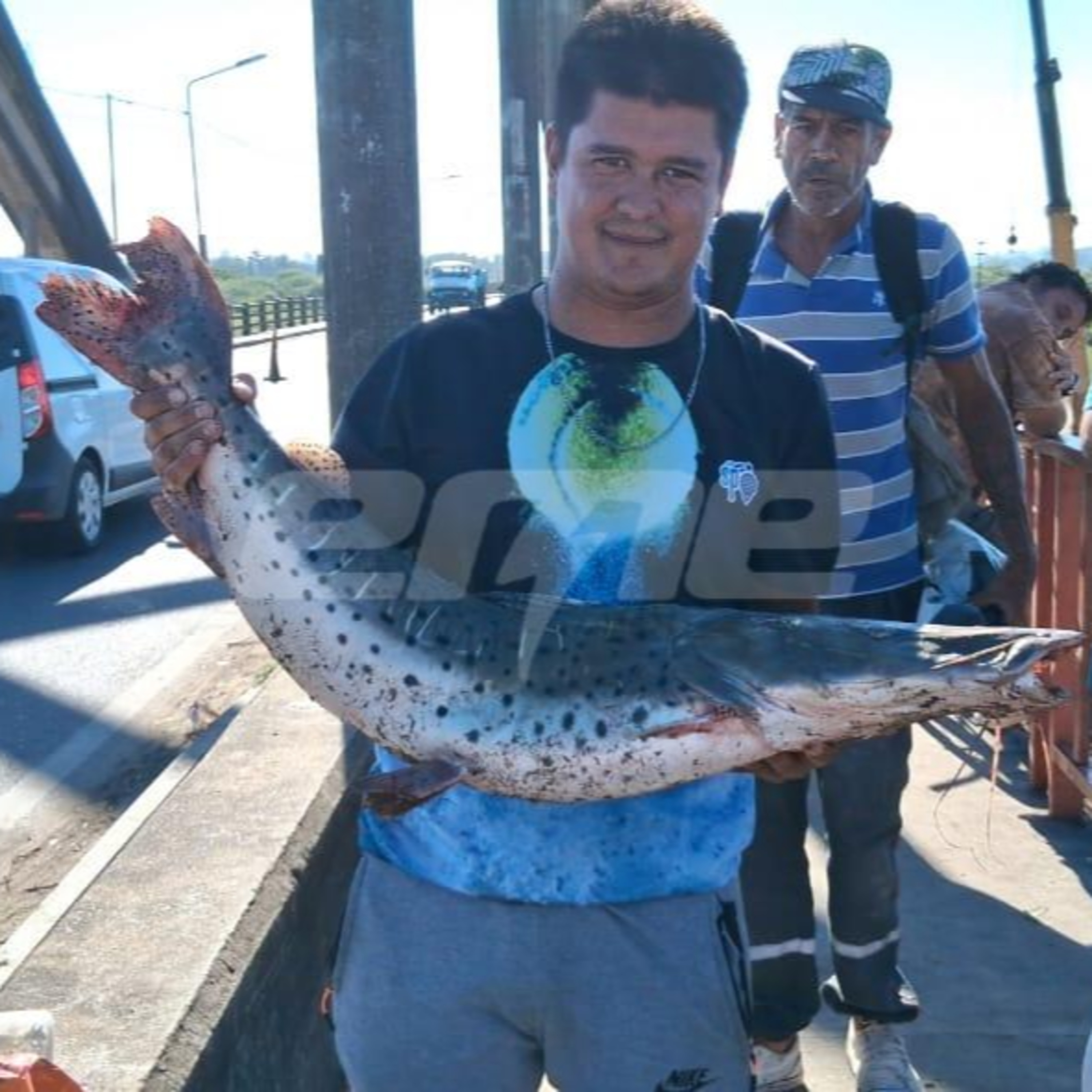 Furor por la pesca de surubíes en el río Salado: capturan ejemplares de hasta 12 kilos episode artwork