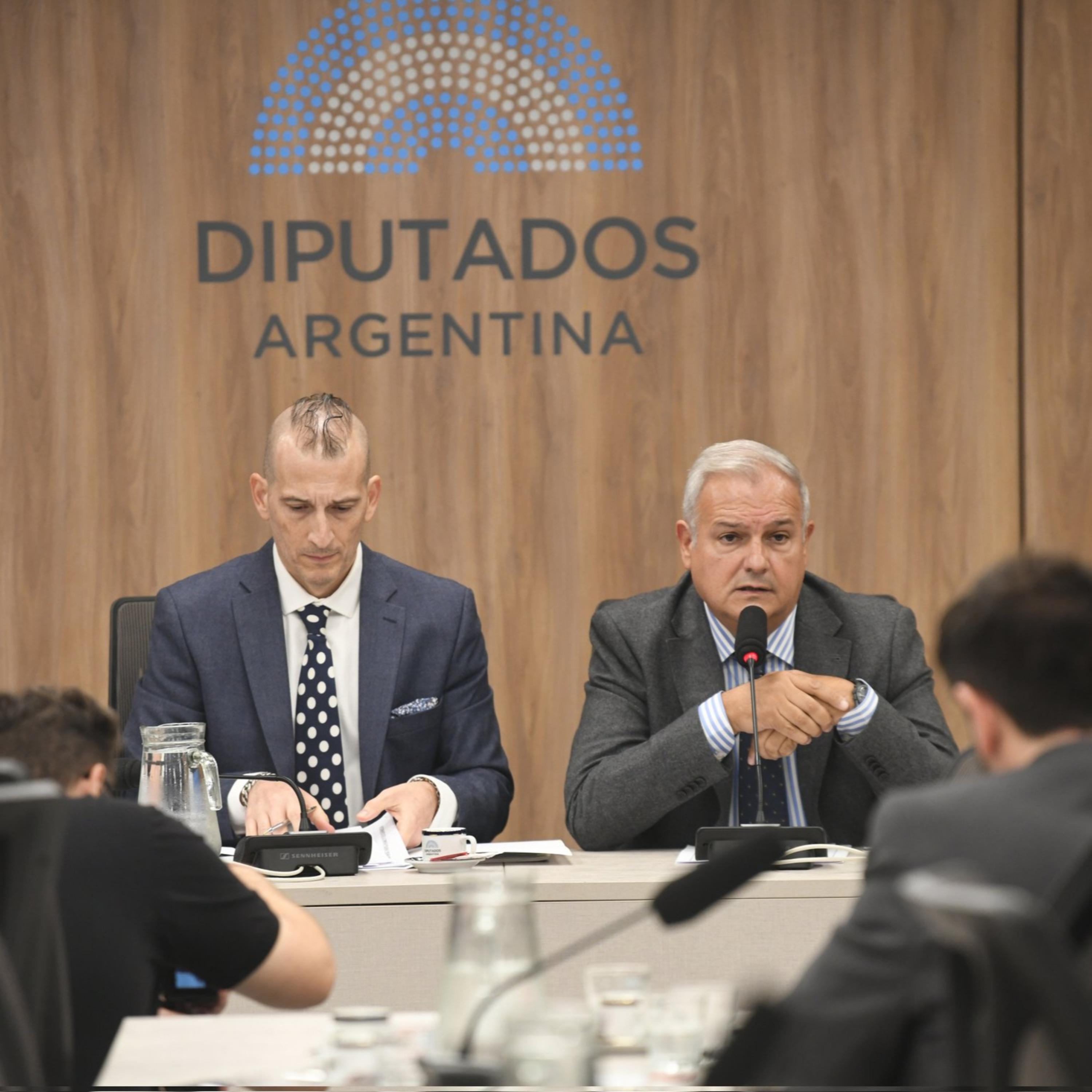 Farías asumió en la comisión de Pymes: “El sector está muy golpeado en la economía del país” episode artwork