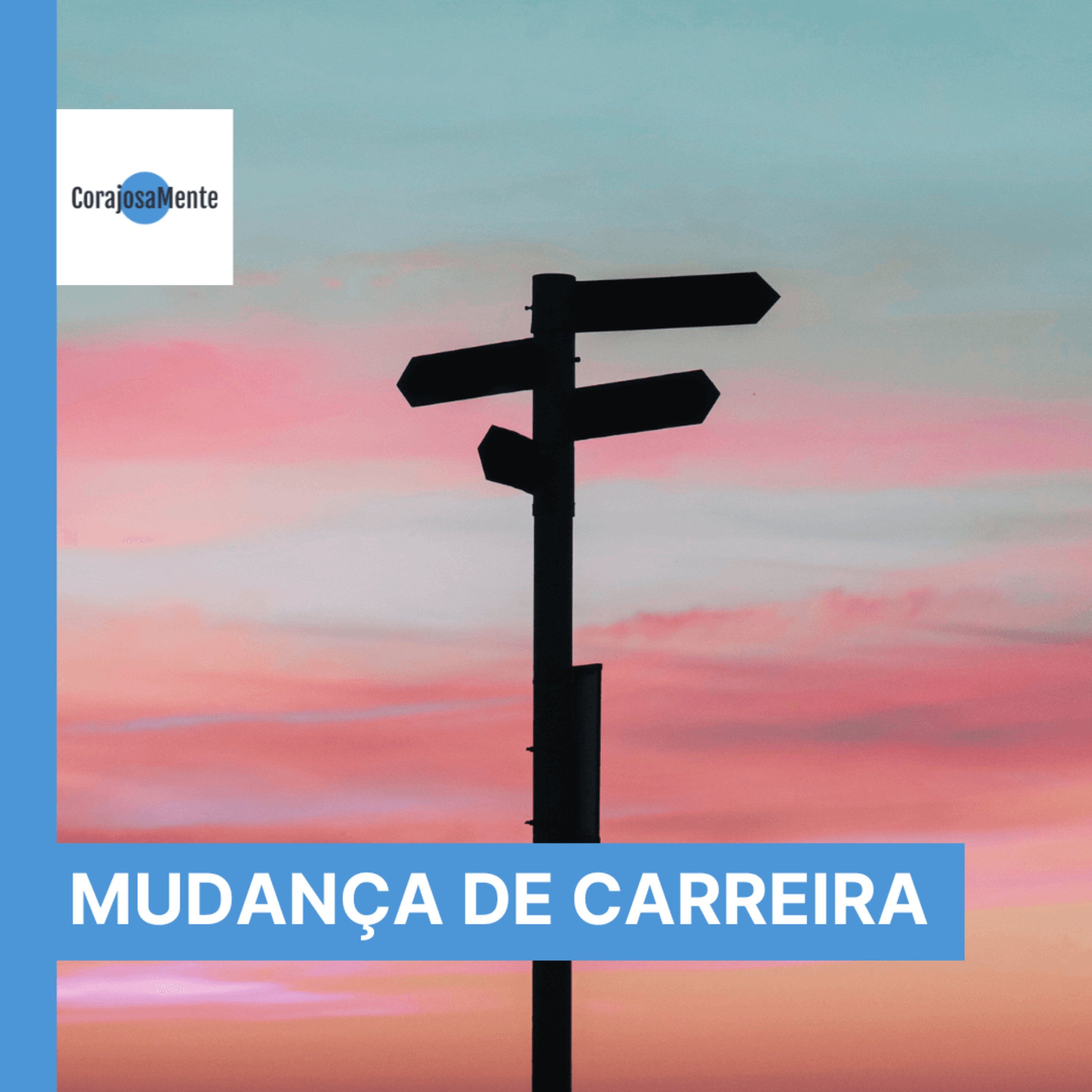 Mudança de Carreira e a Satisfação e Sucesso Profissional E110 episode artwork
