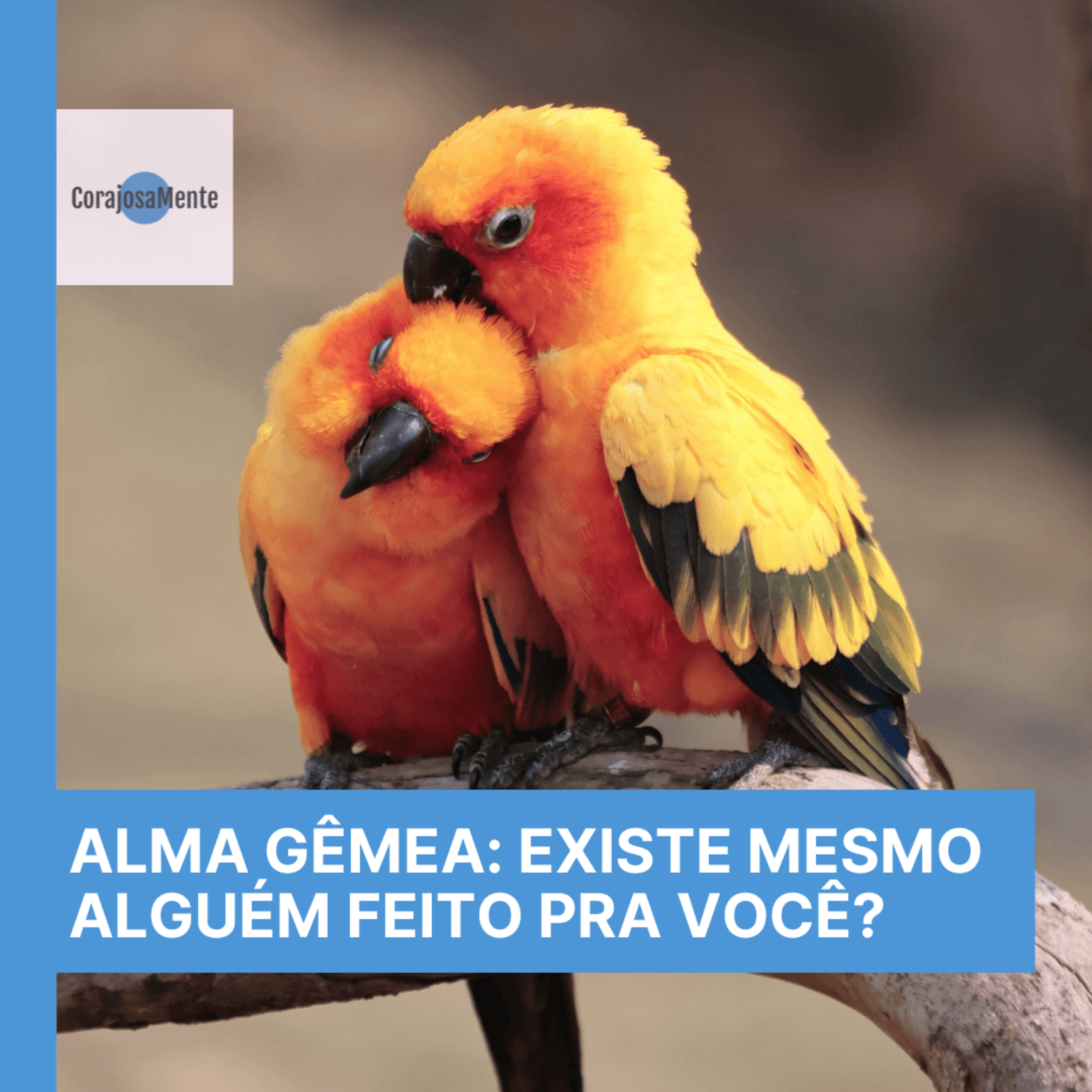 Alma Gêmea: Existe mesmo alguém feito pra você? E148 episode artwork