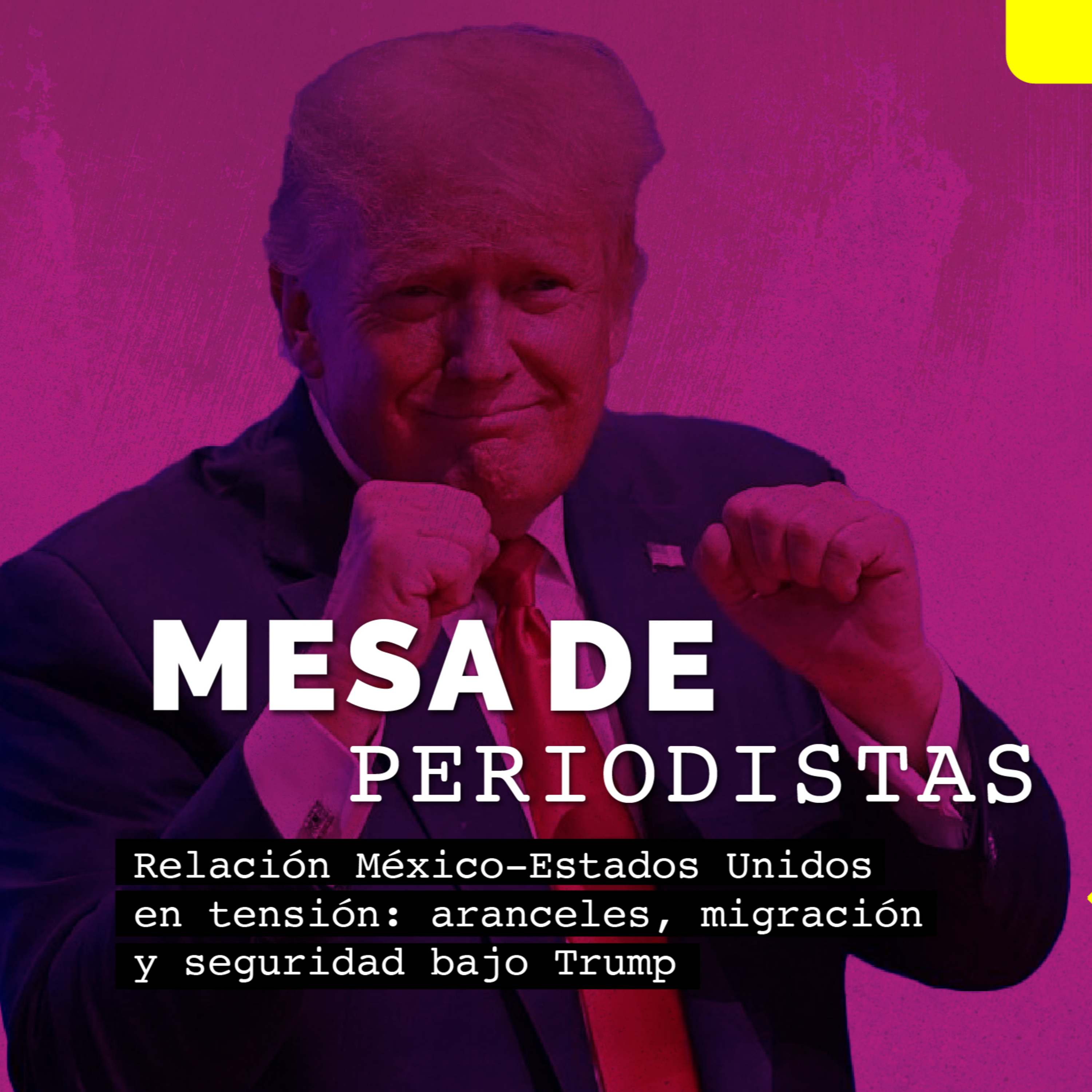 Relación México-Estados Unidos en tensión: aranceles, migración y seguridad bajo Trump episode artwork