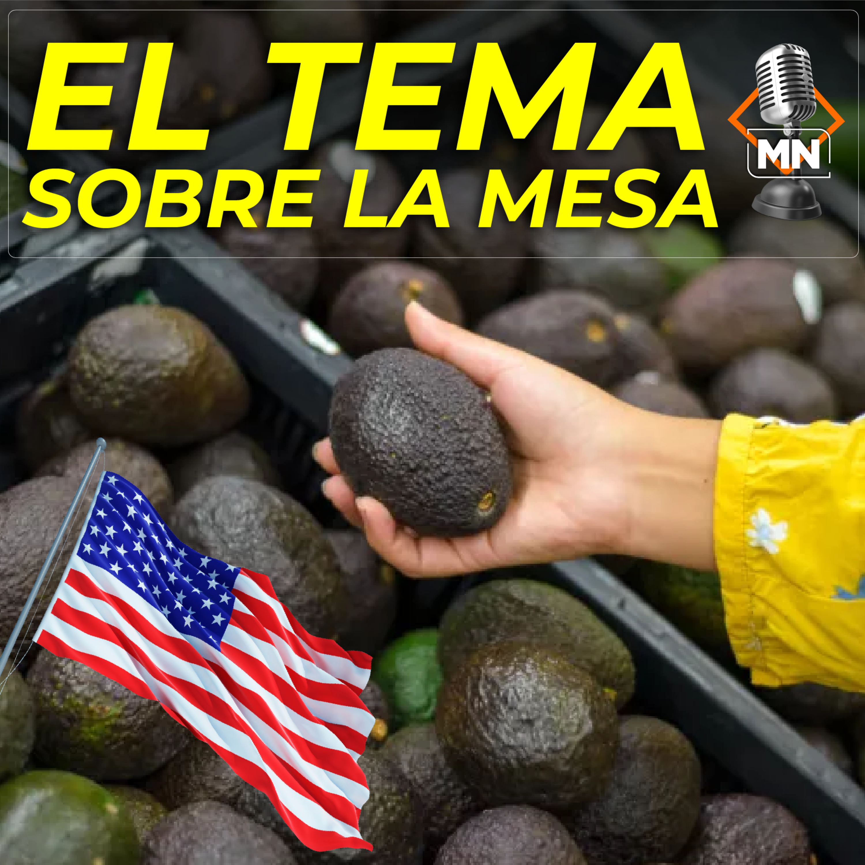 Aguacate, cárteles y política tensan relación bilateral episode artwork