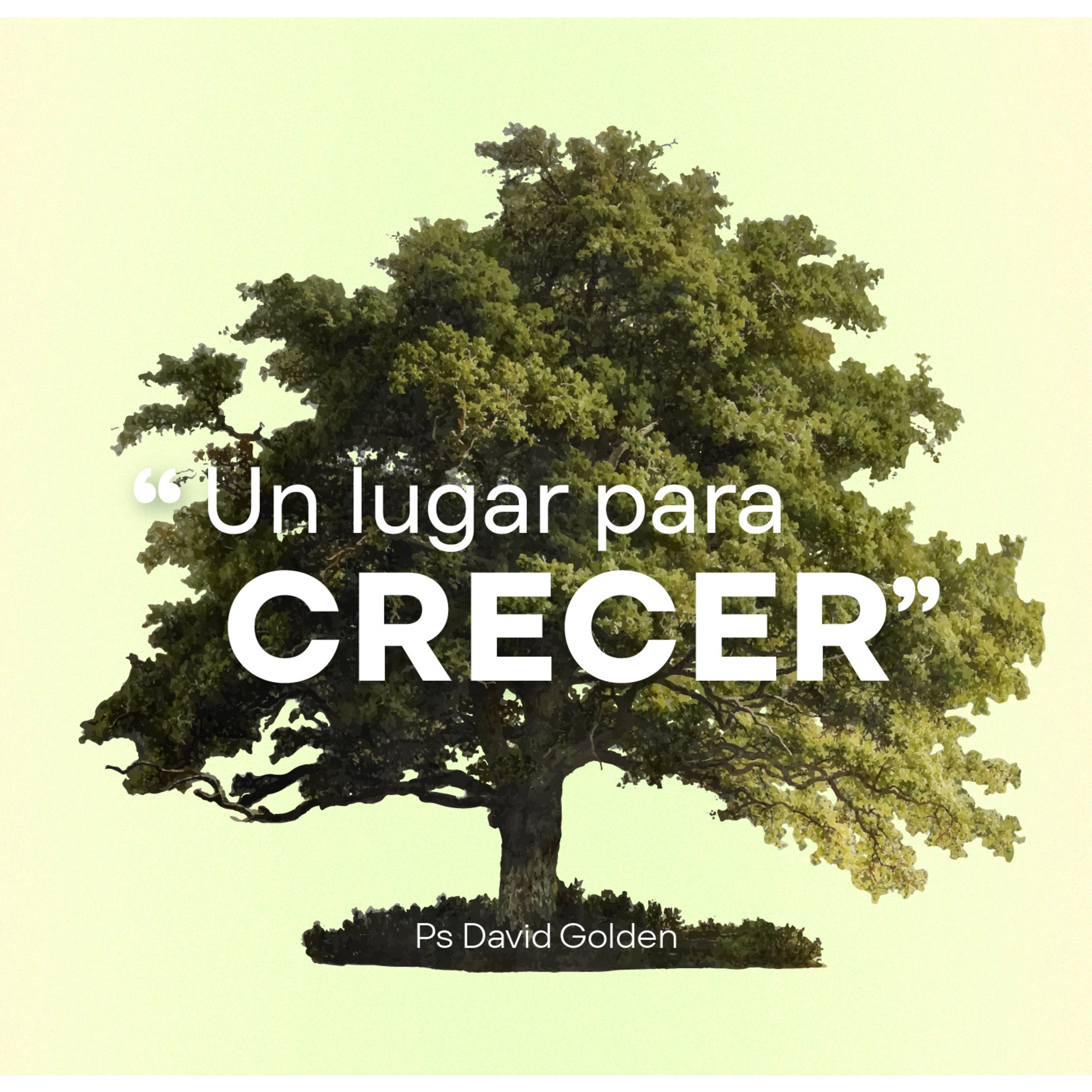 Un lugar para crecer en la Oración