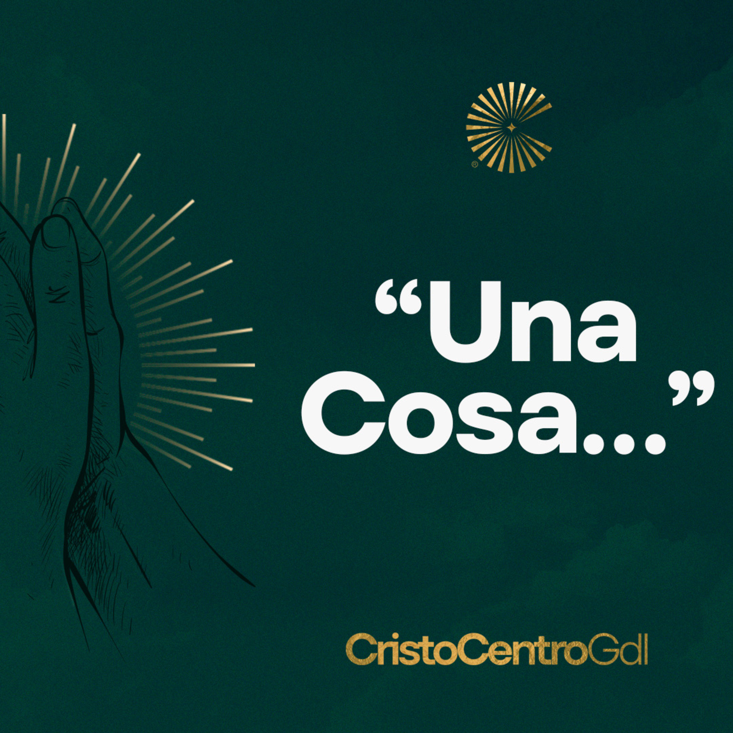 Una Cosa Buscaré