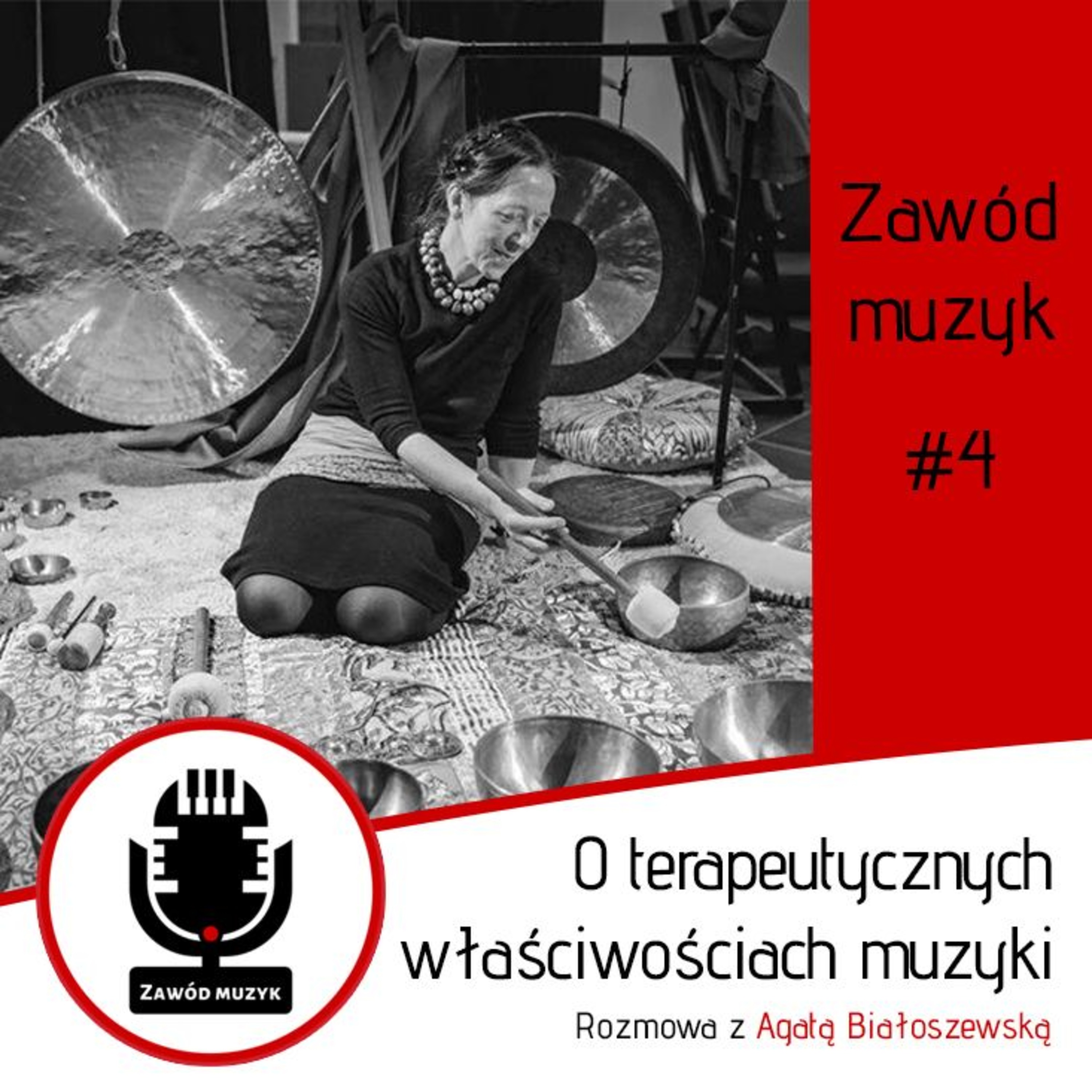 Zawód muzyk