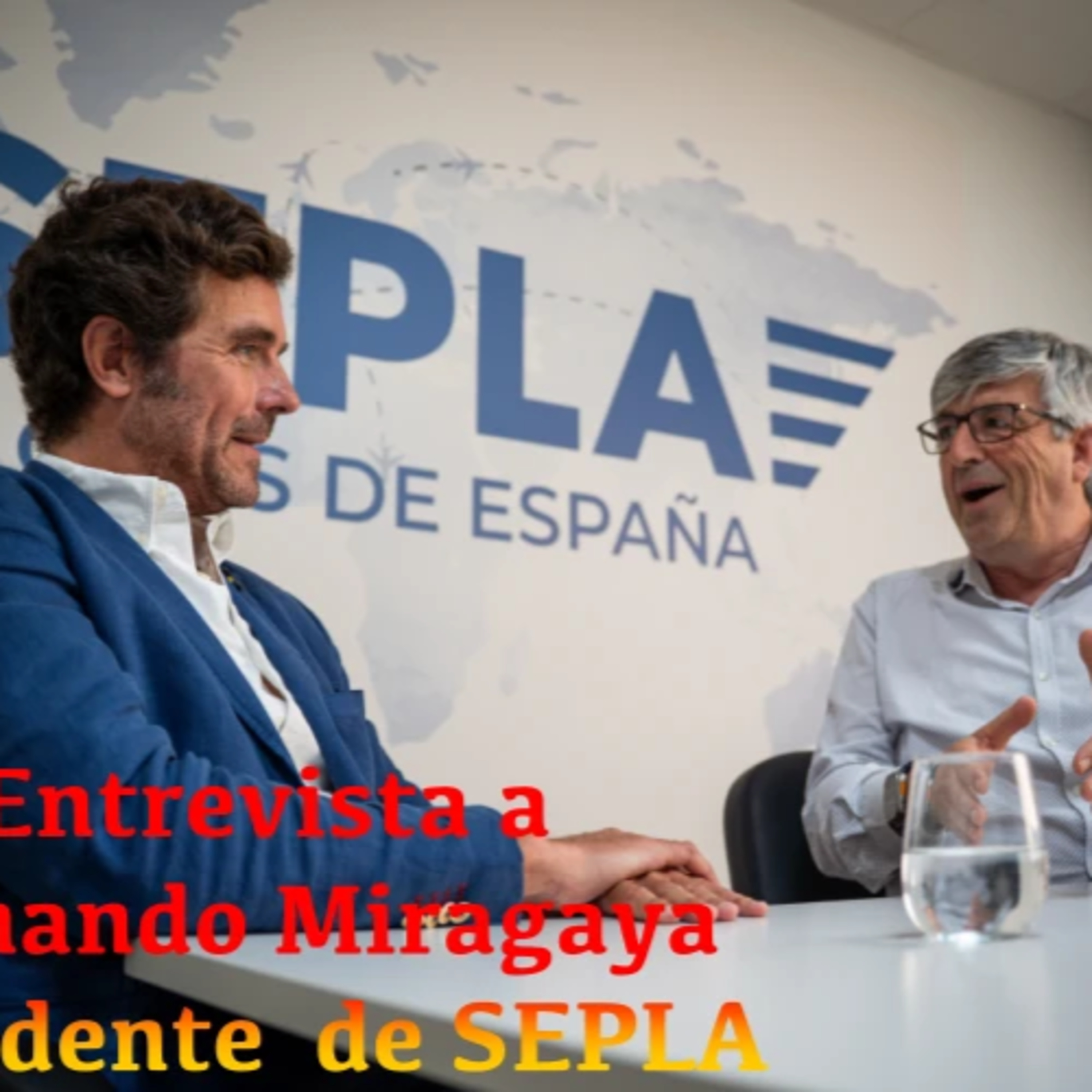 Fernando Miragaya, SEPLA: Low-Costización y Fuga de Pilotos Amenazan la Aviación