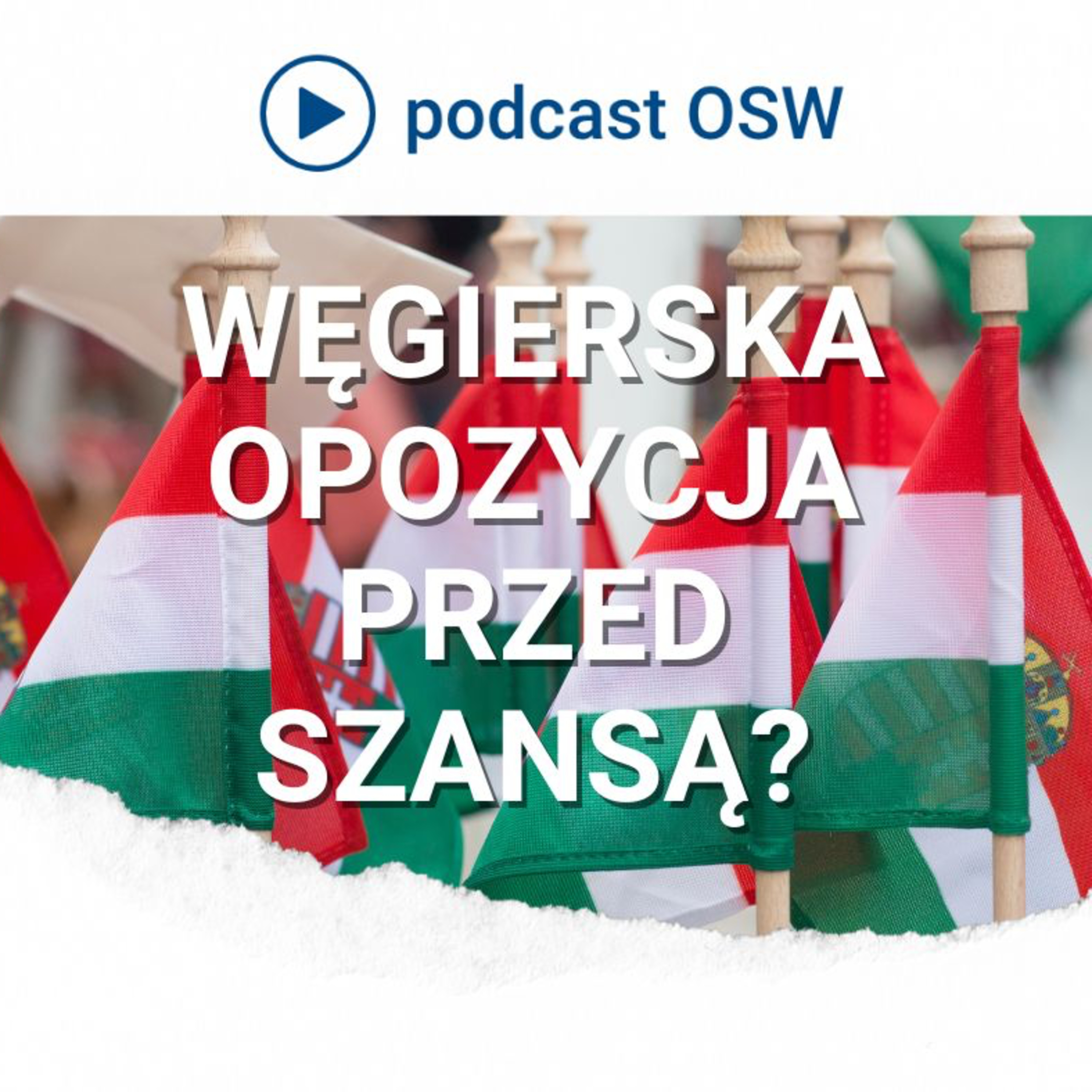 Węgierska opozycja przed szansą? Węgry przed wyborami do Parlamentu Europejskiego