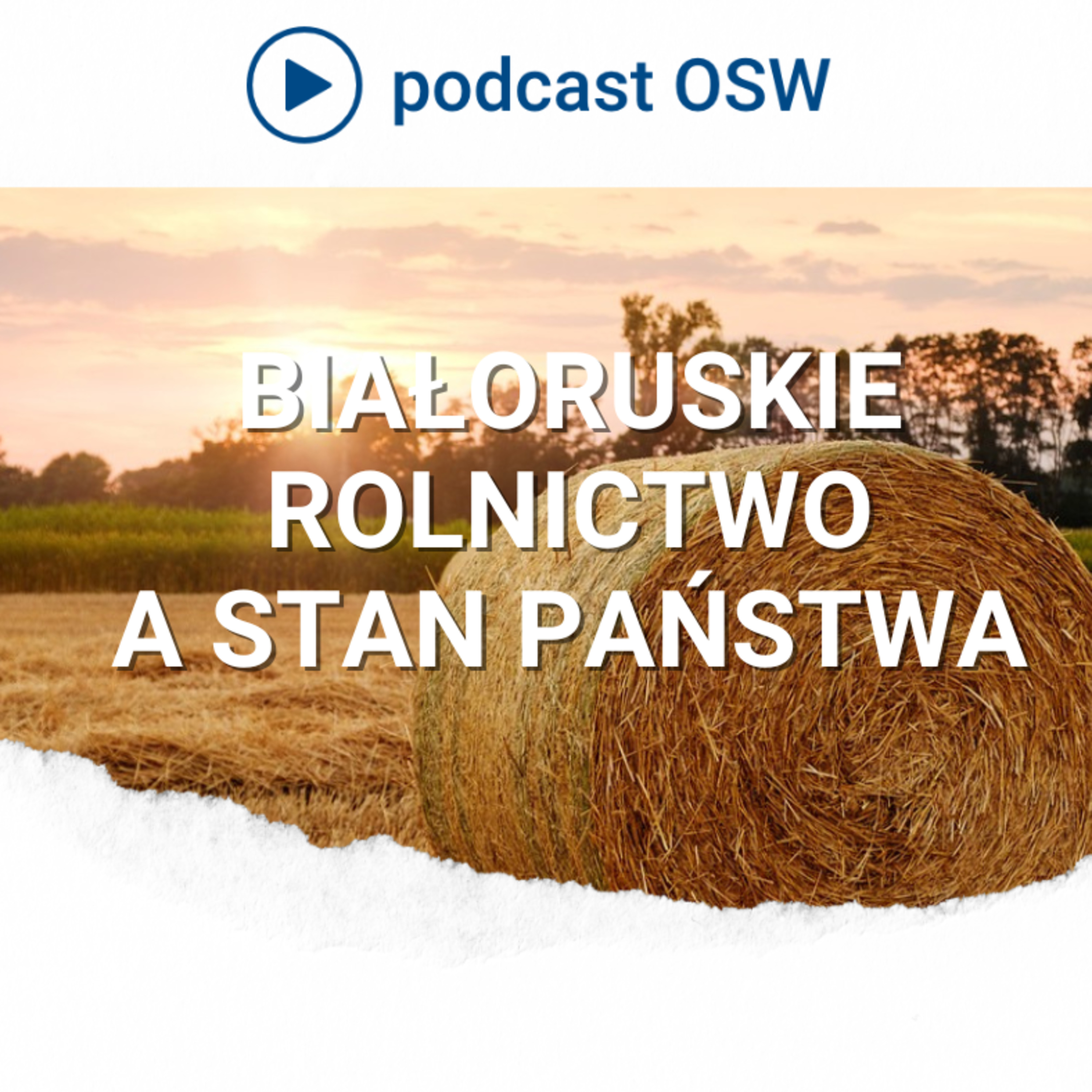 Co sytuacja w białoruskim rolnictwie mówi nam o tym państwie?
