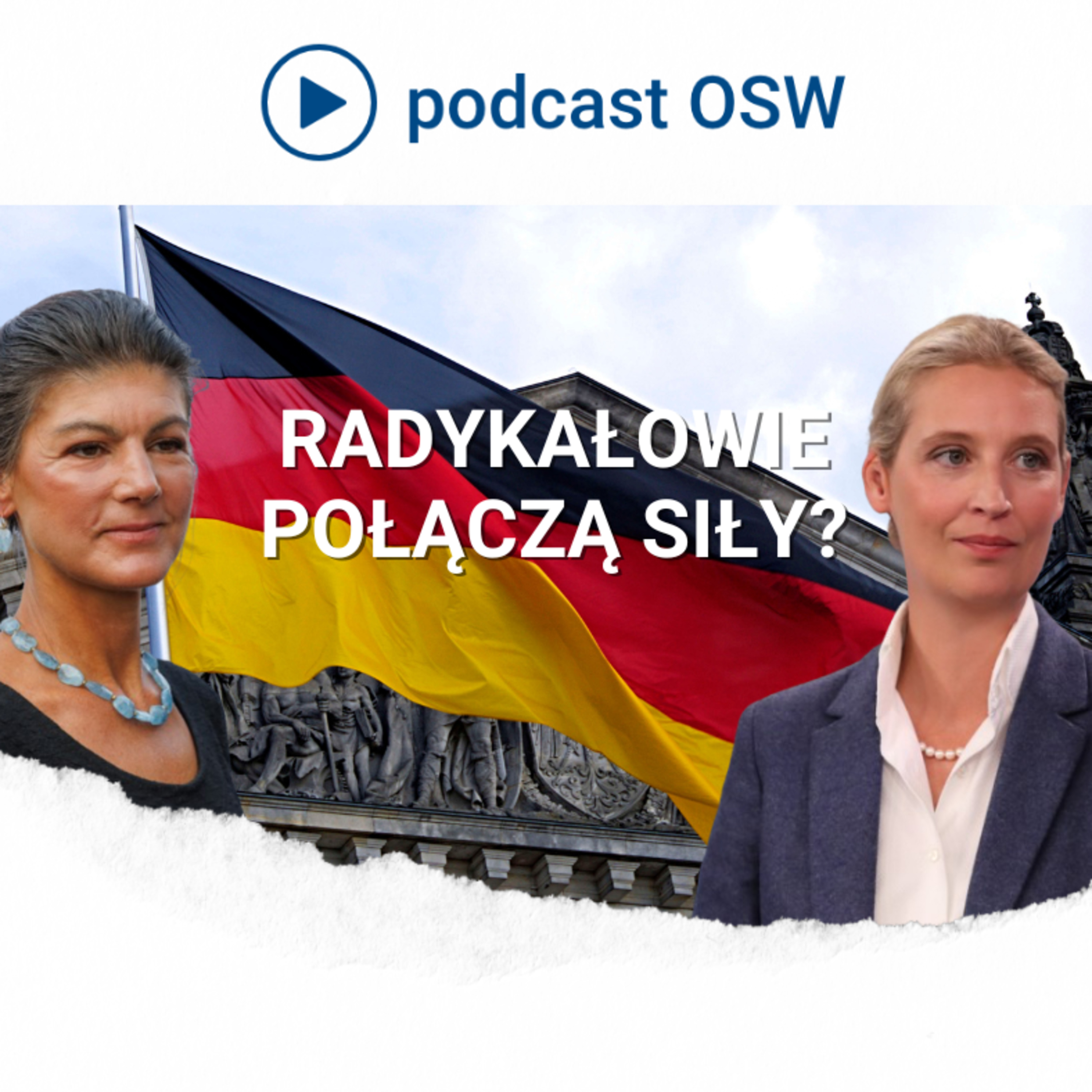 Czy skrajna prawica i skrajna lewica w Niemczech połączą siły? Co łączy i co dzieli AfD i BSW?