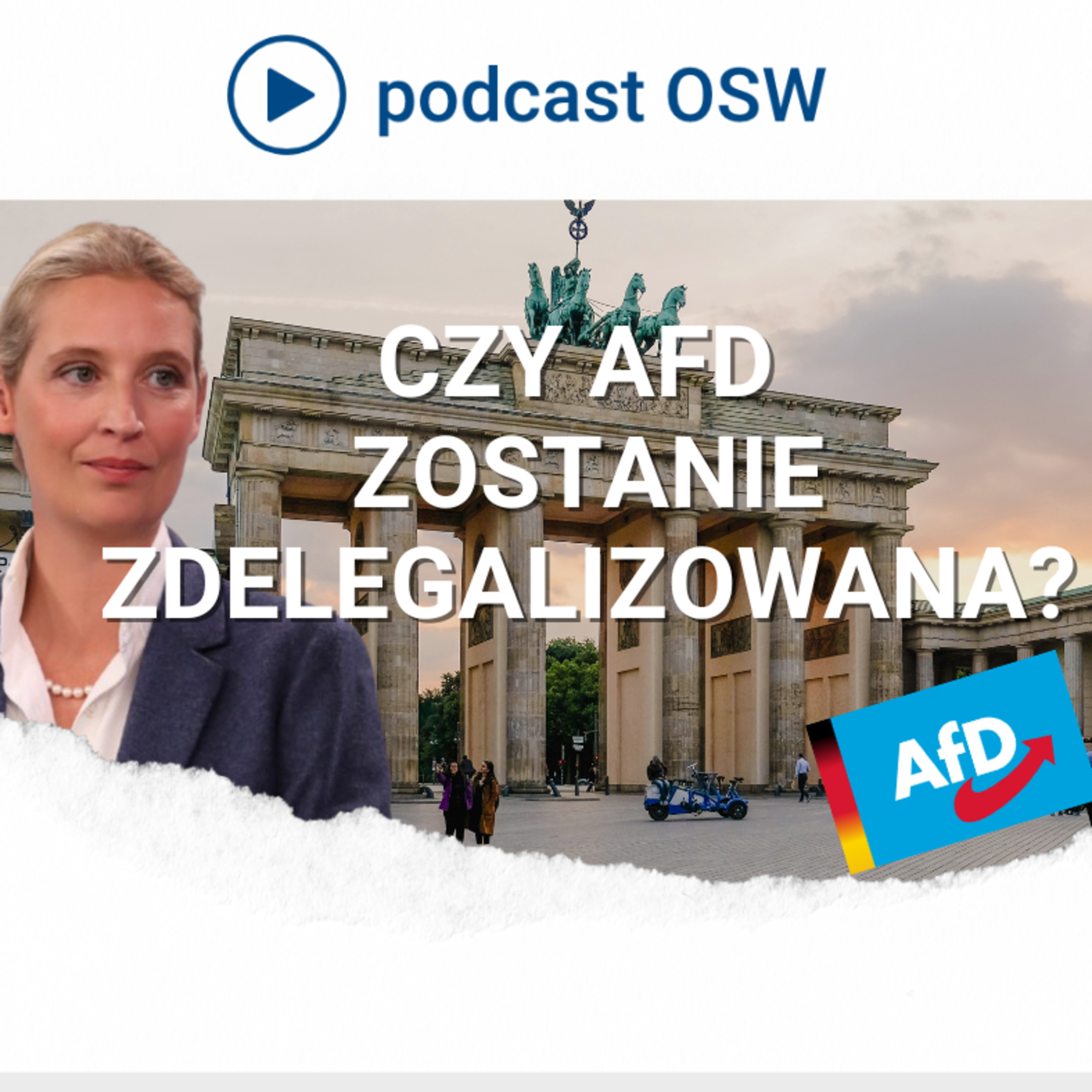 Napięta sytuacja polityczna w Niemczech. Kontrwywiad uznał AfD za partię ekstremistyczną