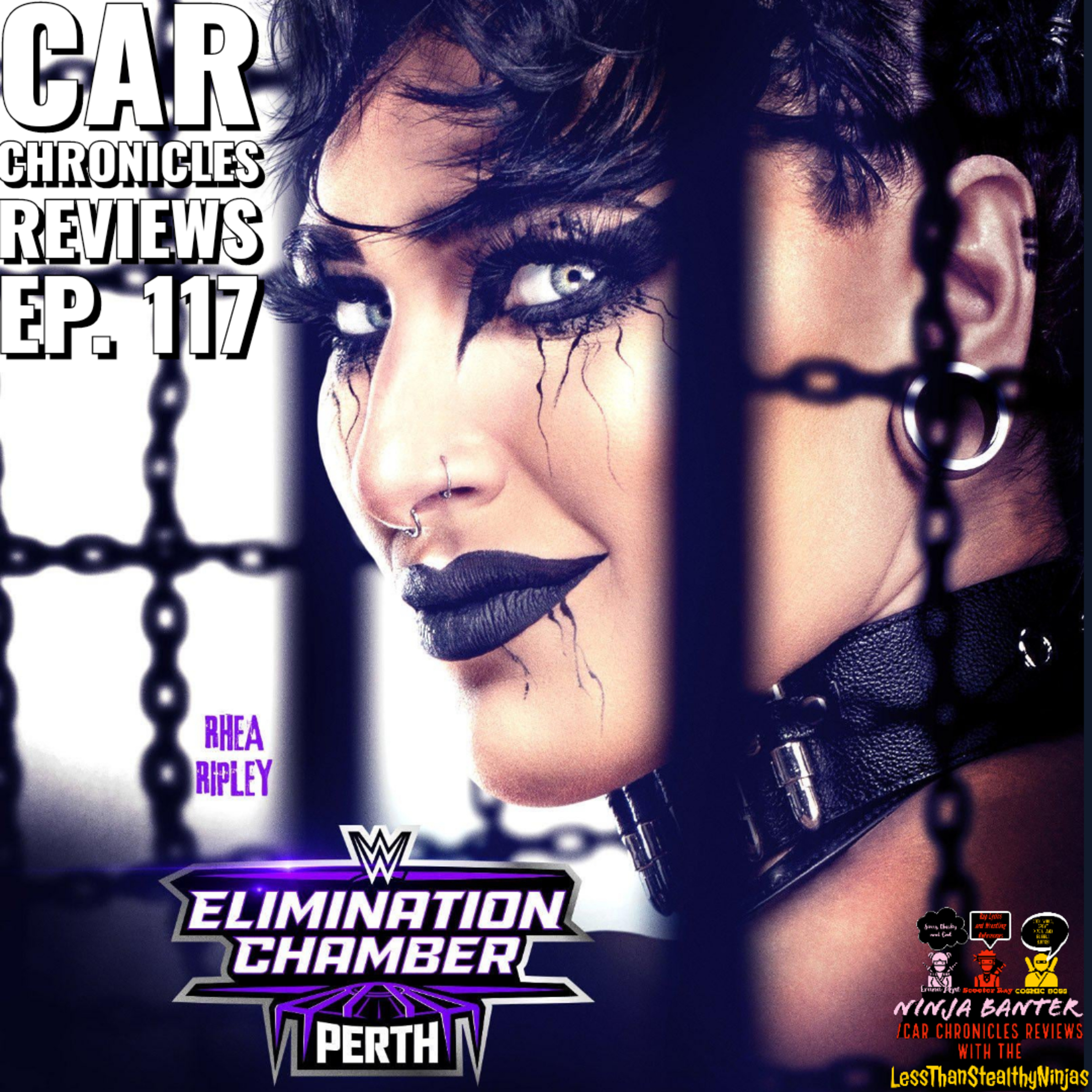 Ninja Banter/Car Chronicles Reviews with The LessThanStealthyNinjas