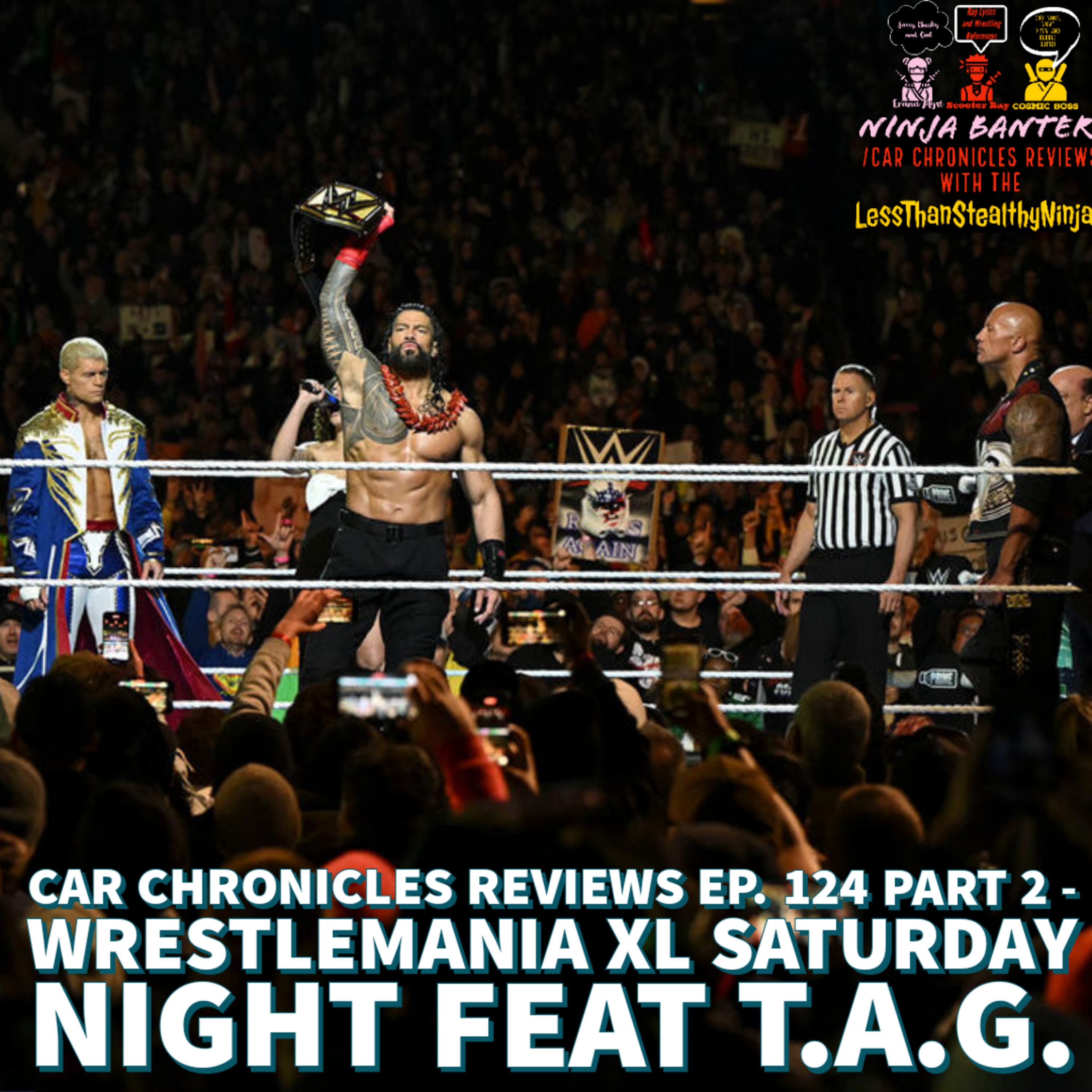 Ninja Banter/Car Chronicles Reviews with The LessThanStealthyNinjas