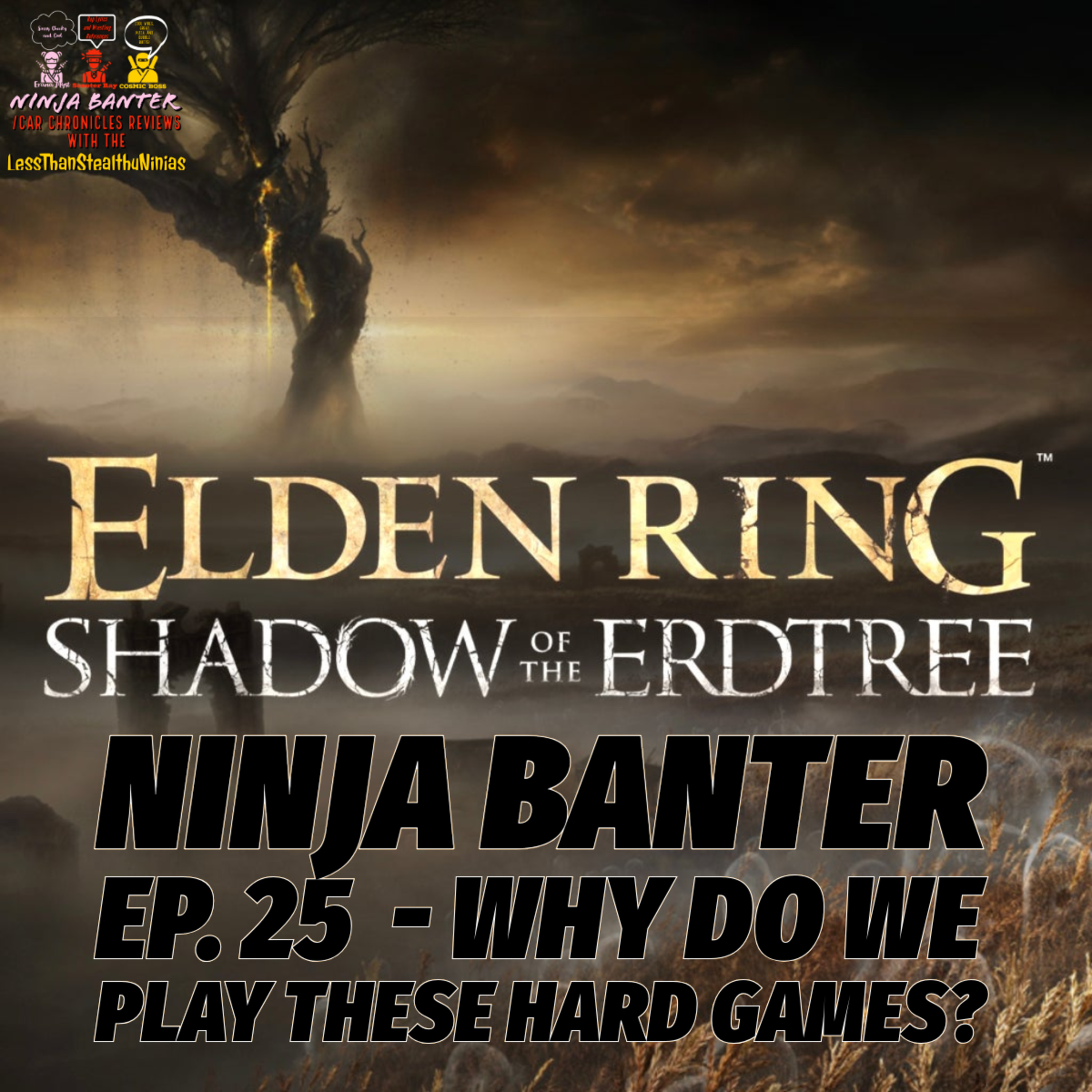 Ninja Banter Ep. 25 - Why Do We Play These Hard Games? episode artwork