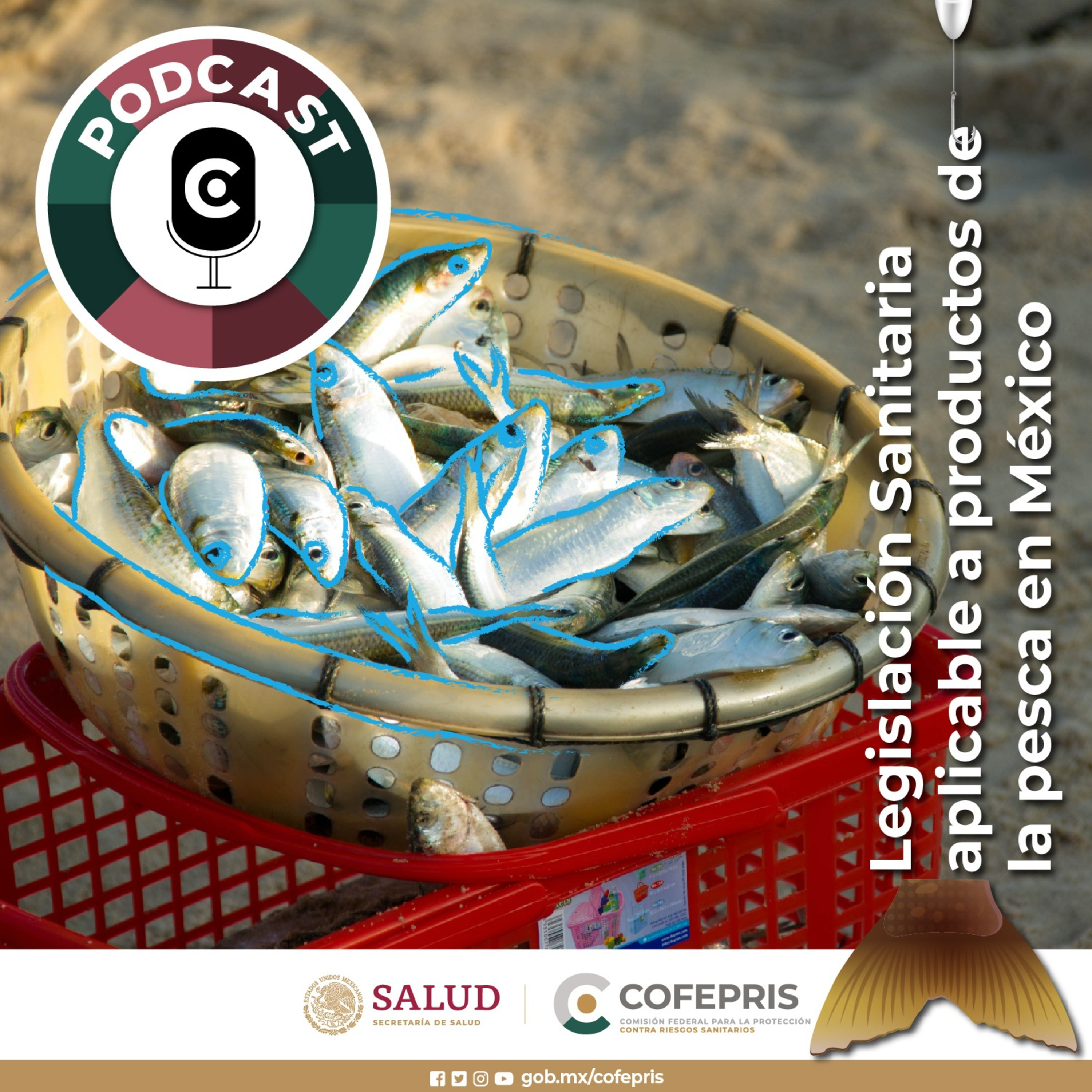 60 Legislación Sanitaria Aplicable a Productos de la Pesca en México
