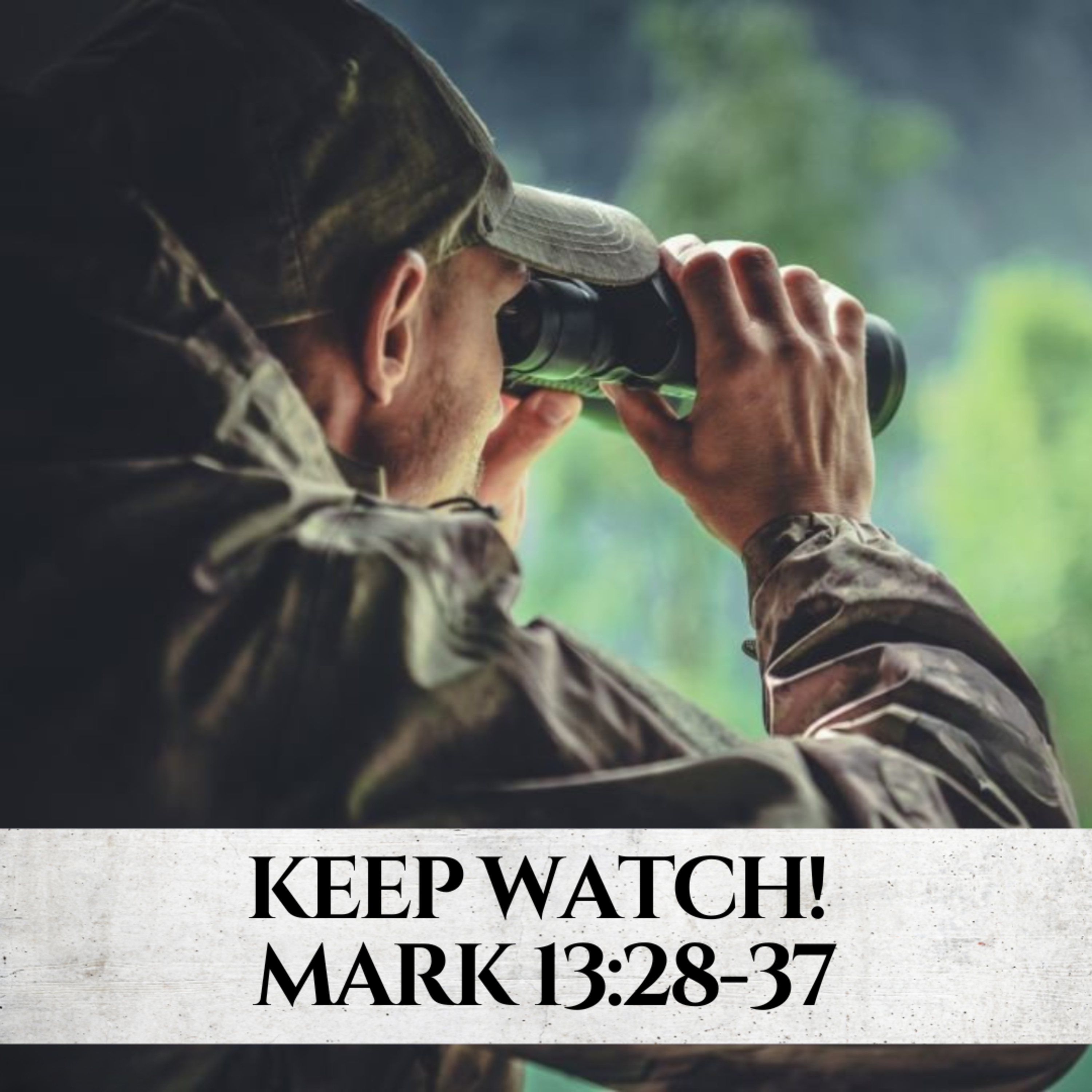 "Keep Watch" Sermon Based on Mark 13:28-37 (Recorded on November 12, 2023) episode artwork