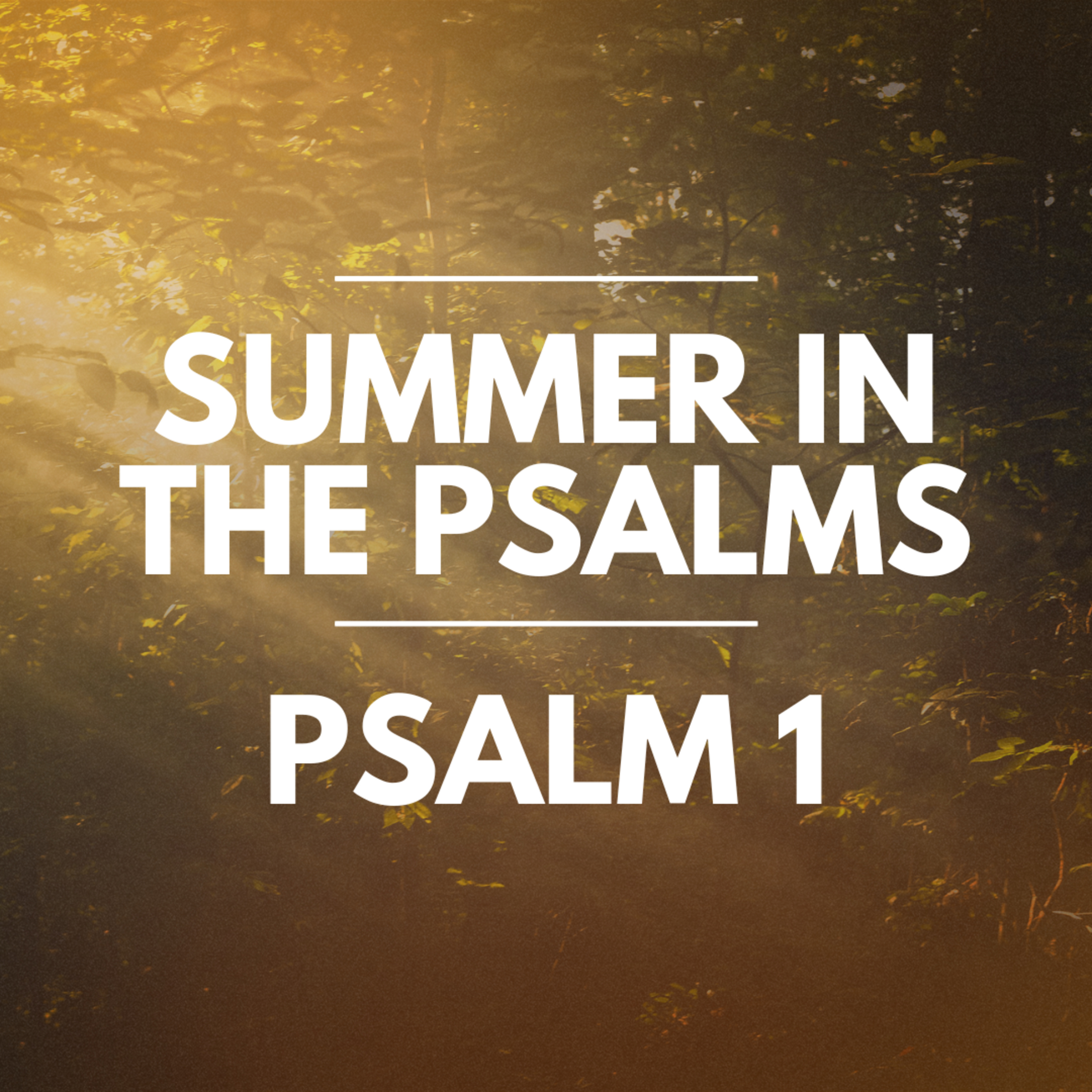 "Psalm 1" Part of our Sermon Series "Summer in the Psalms" (Recorded on June 16, 2024) episode artwork