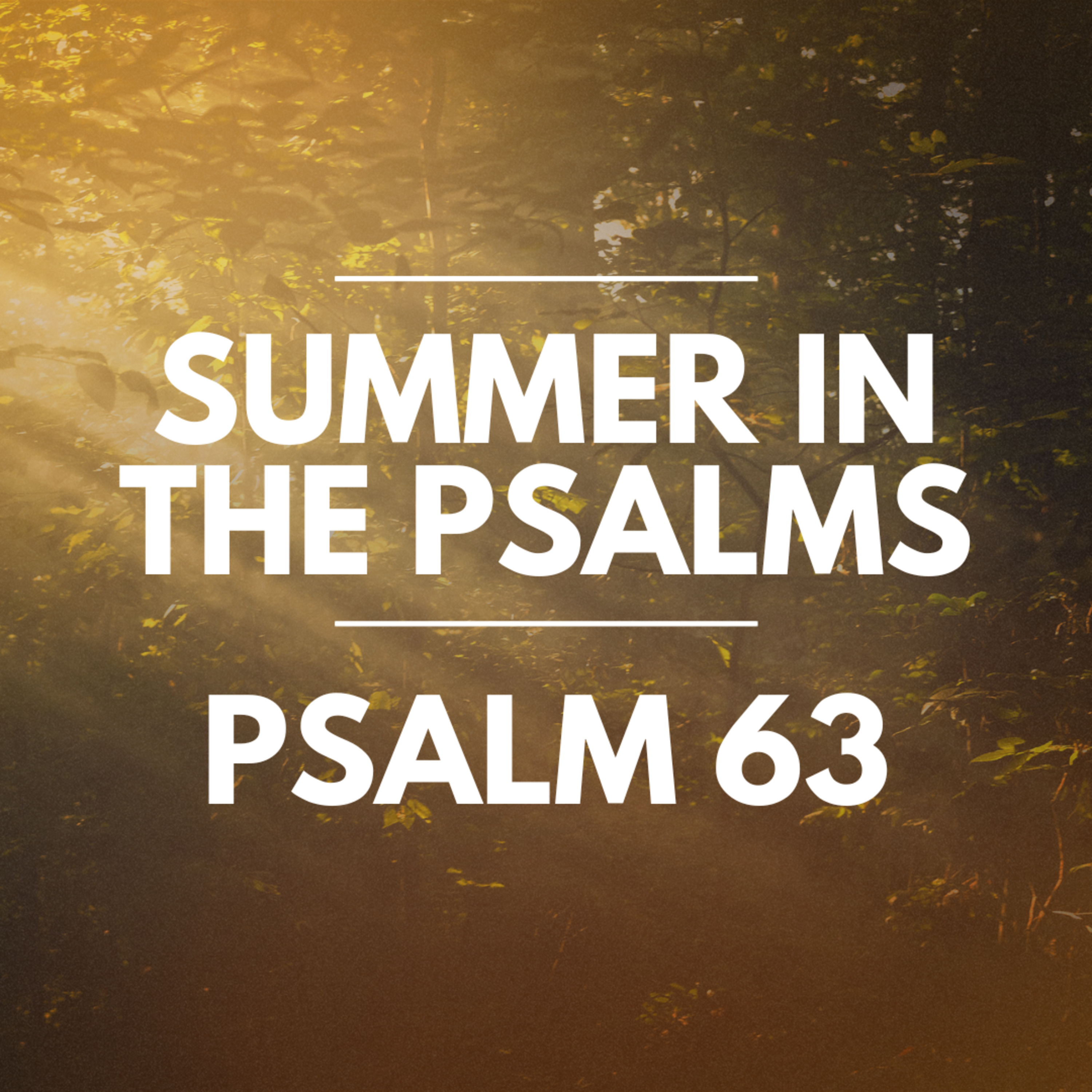 "Psalm 63" Part of our Sermon Series "Summer in the Psalms" (Recorded on June 23, 2024) episode artwork