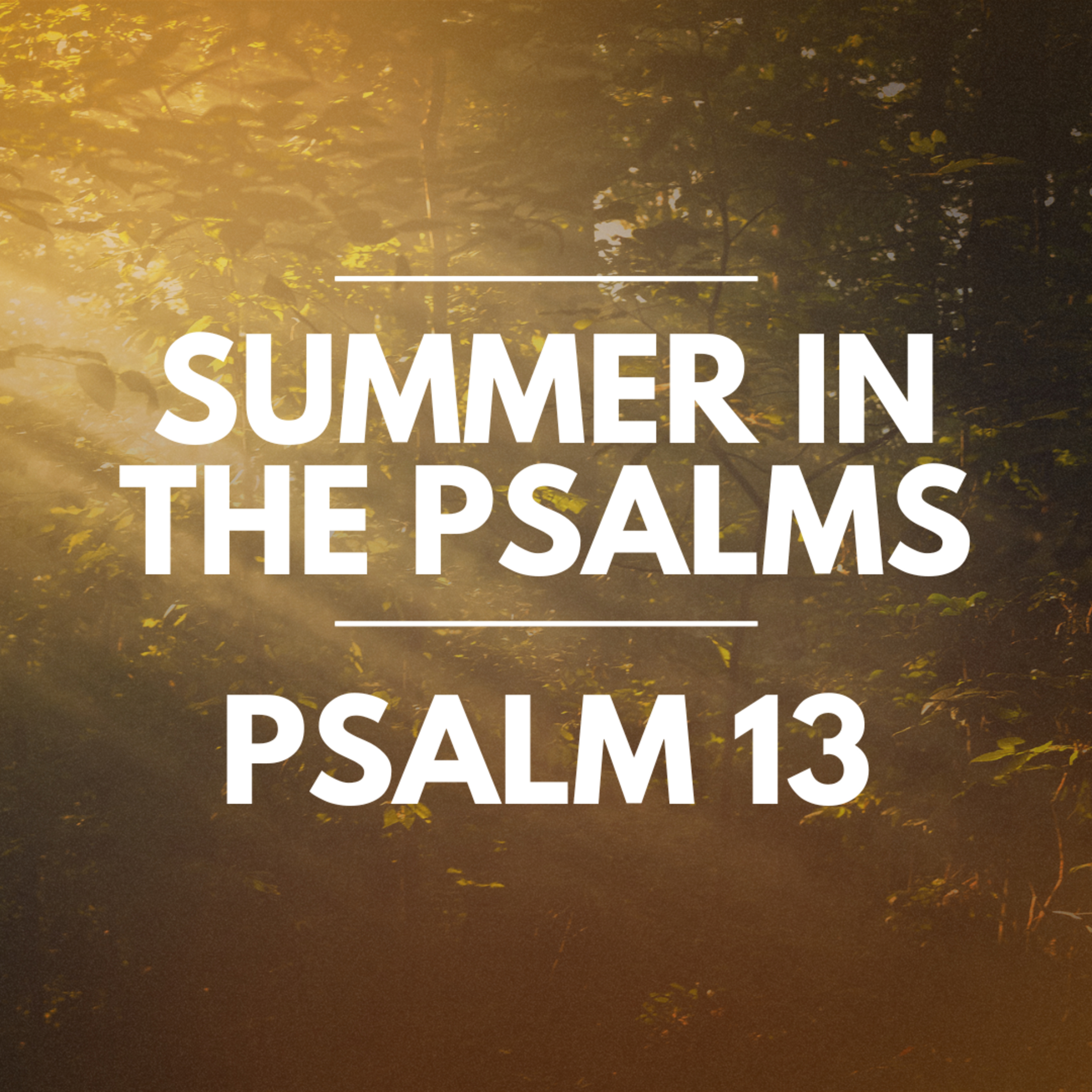 "Psalm 13" Part of our Sermon Series "Summer in the Psalms" (Recorded on July 7, 2024) episode artwork