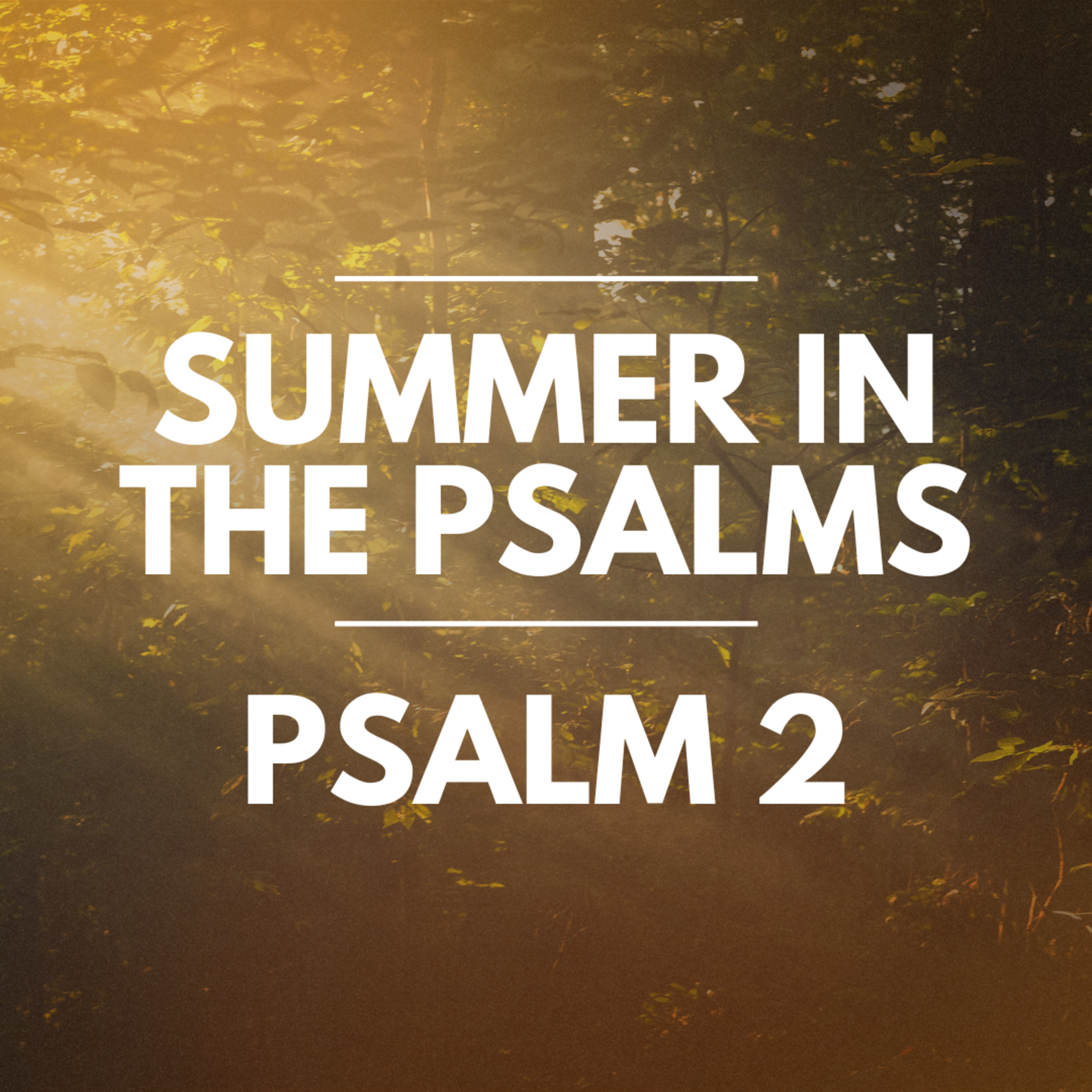 "Psalm 2" Part of our Sermon Series "Summer in the Psalms" (Recorded on July 15, 2024) episode artwork