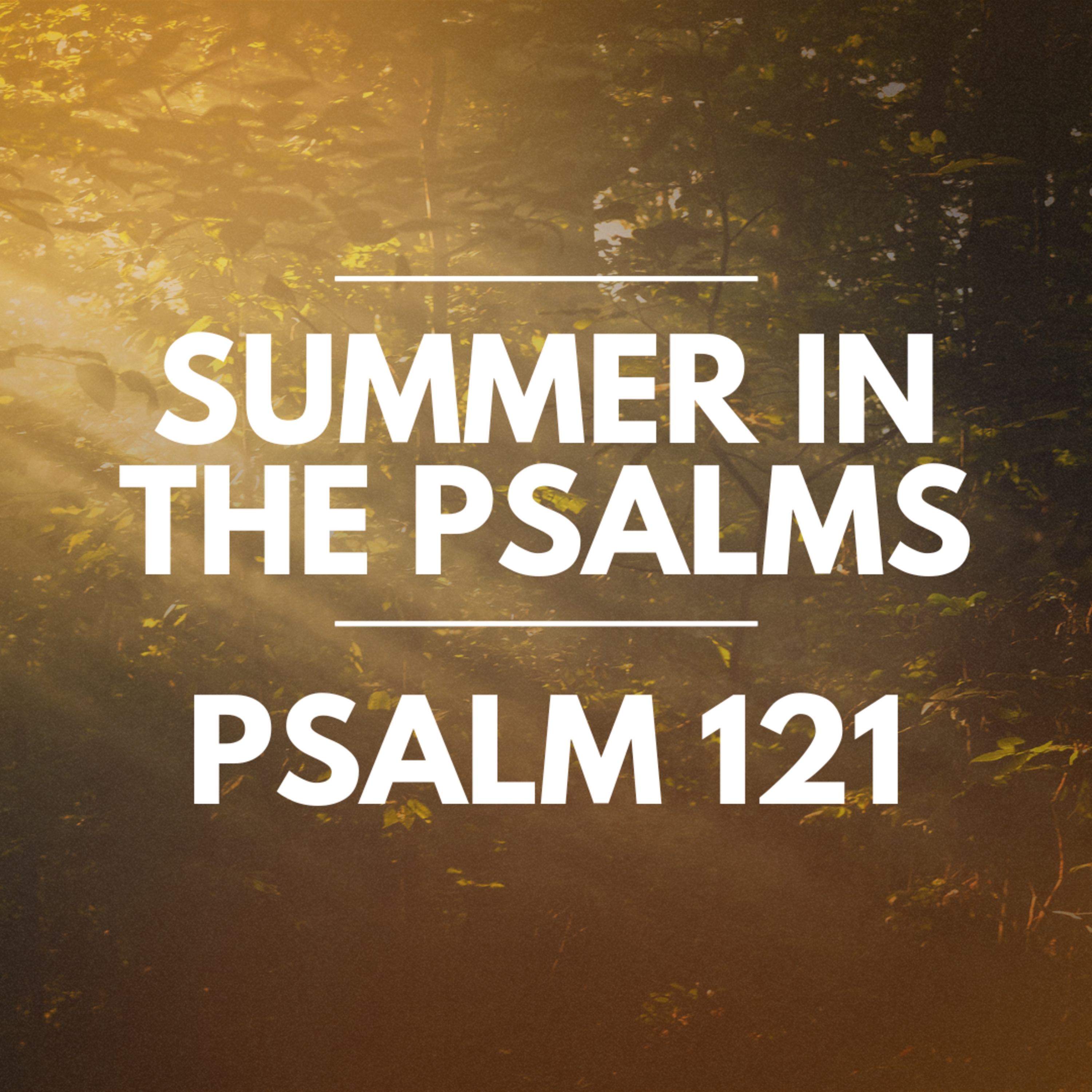 "Psalm 121" Part of our Sermon Series "Summer in the Psalms" (Recorded on August 12, 2024) episode artwork