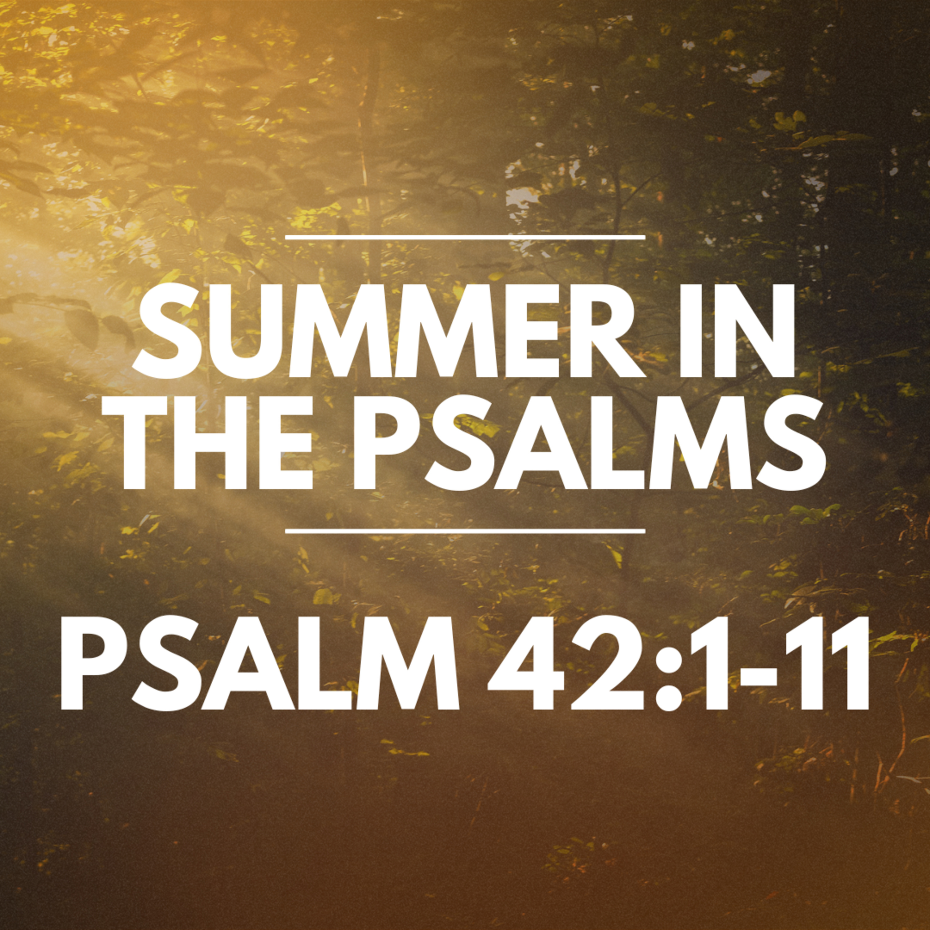 "Psalm 42:1-11" Part of our Sermon Series "Summer in the Psalms" (Recorded on August 18, 2024) episode artwork