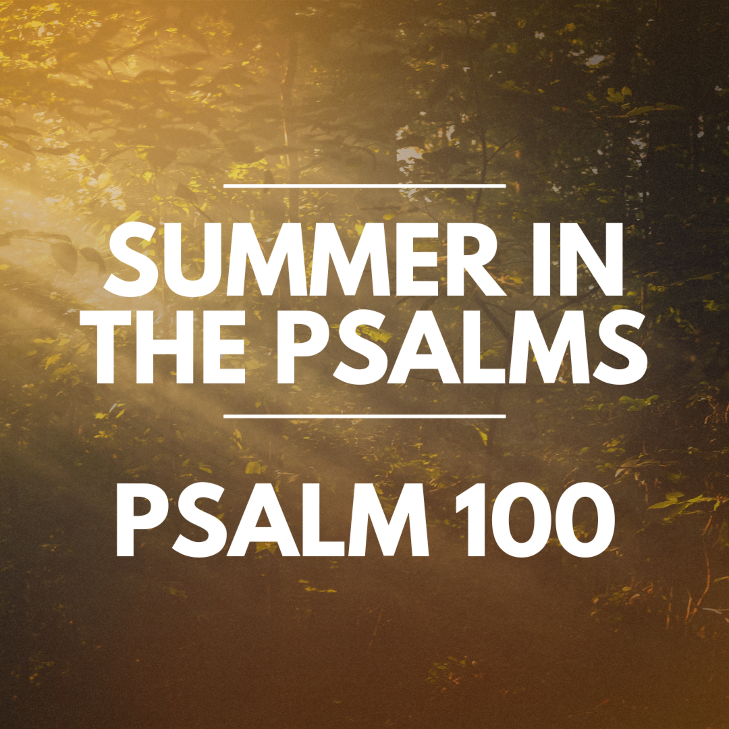 "Psalm 100" Part of our Sermon Series "Summer in the Psalms" (Recorded on August 25, 2024) episode artwork