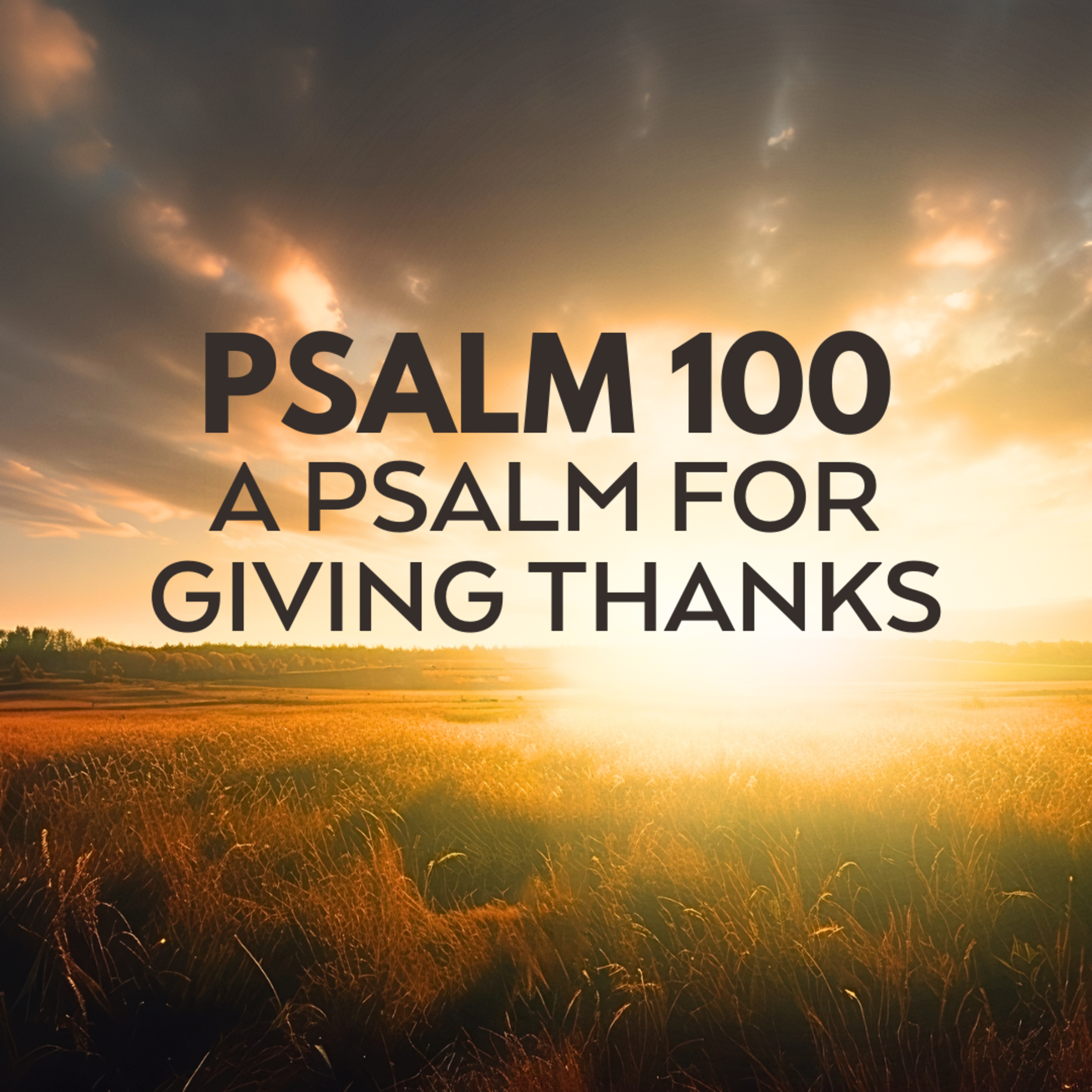 "Psalm 100: A Psalm for Giving Thanks", Sermon by pastor Mark Hunt Recorded on November 24, 2024 episode artwork
