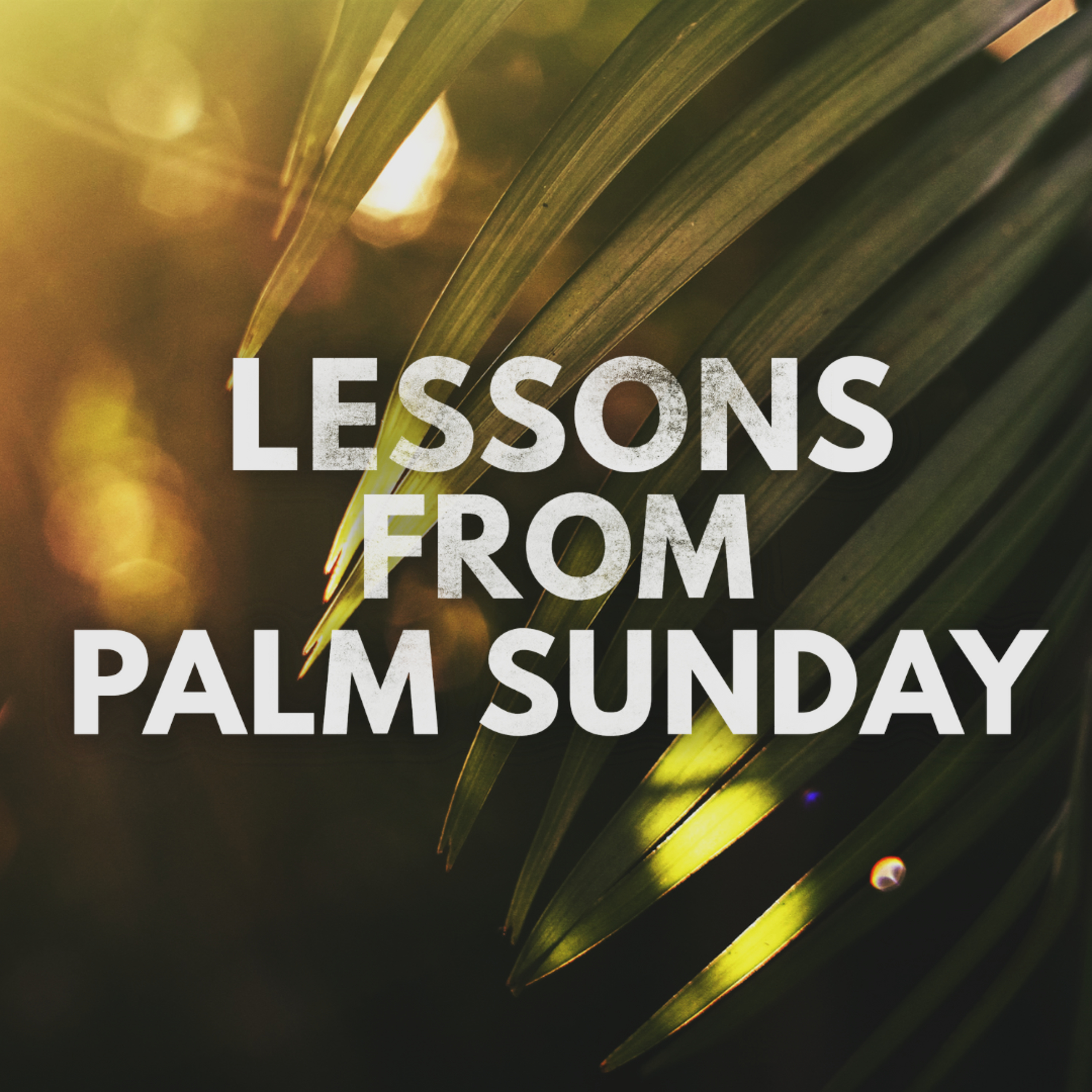 "Lessons from Palm Sunday" Sermon by Pastor Mark Hunt Recorded on April 13, 2025 episode artwork