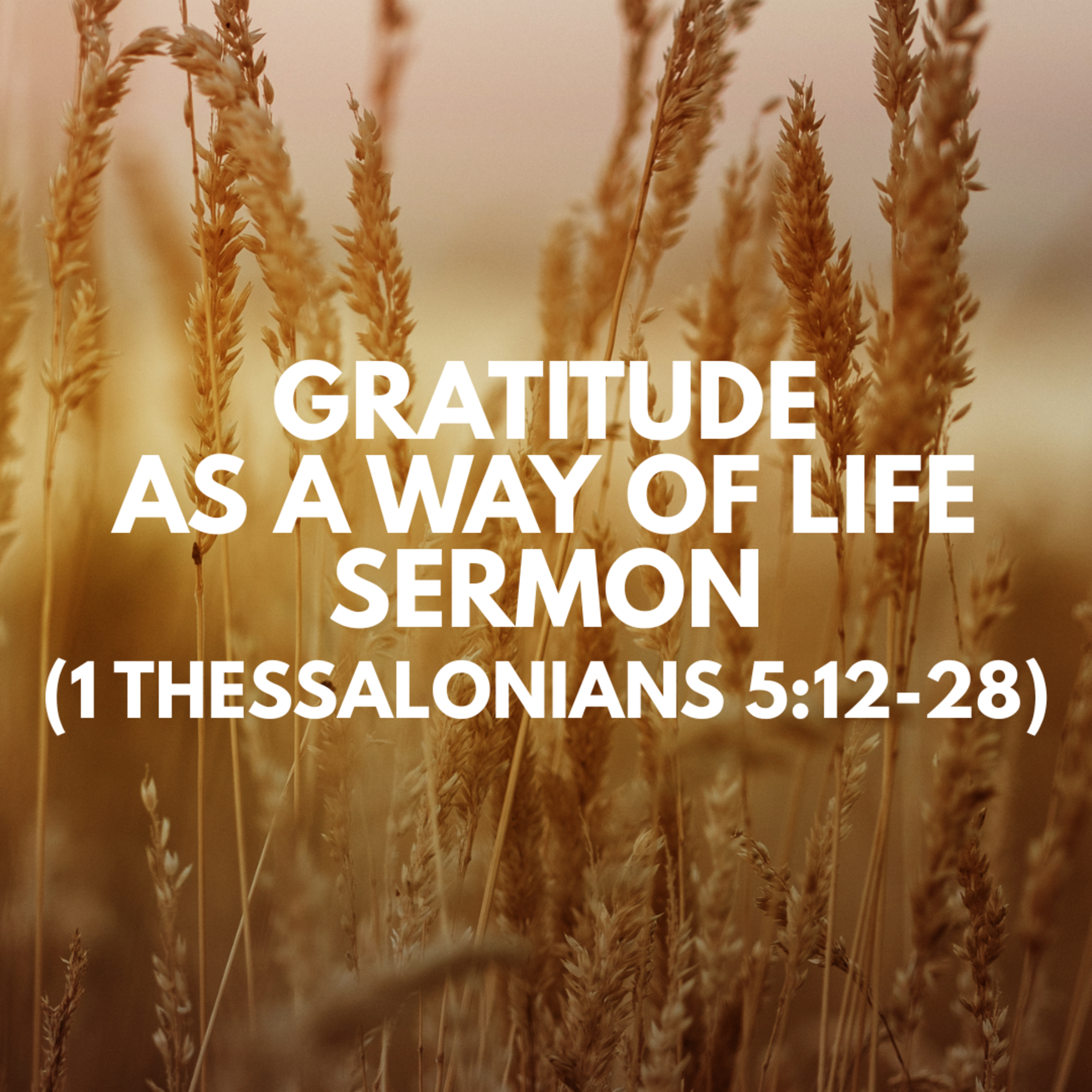 "Gratitude as a Way of Life" Sermon by Pastor Mark Hunt Recorded on November 23, 2025 episode artwork