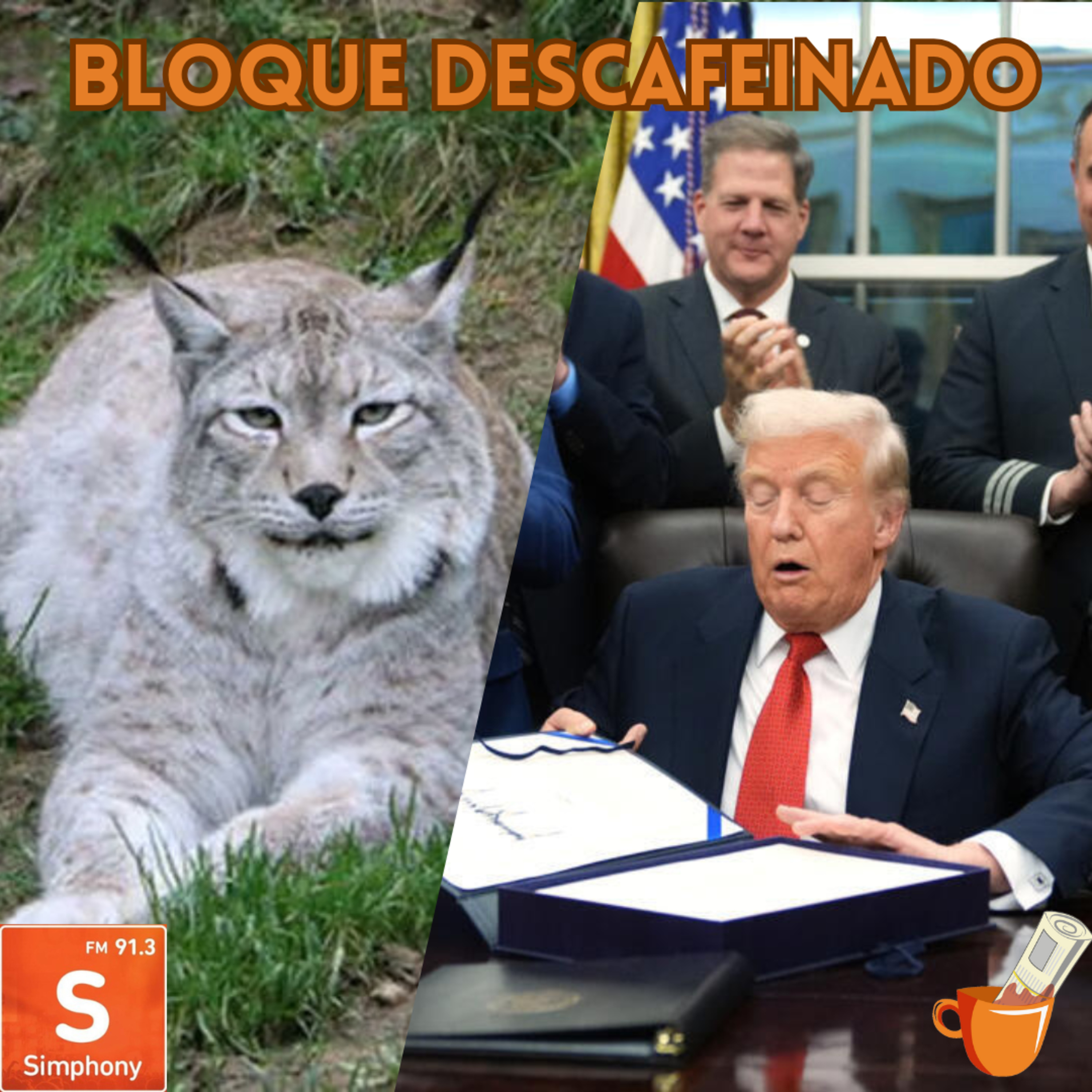 Portada de Noticias Descafeinadas