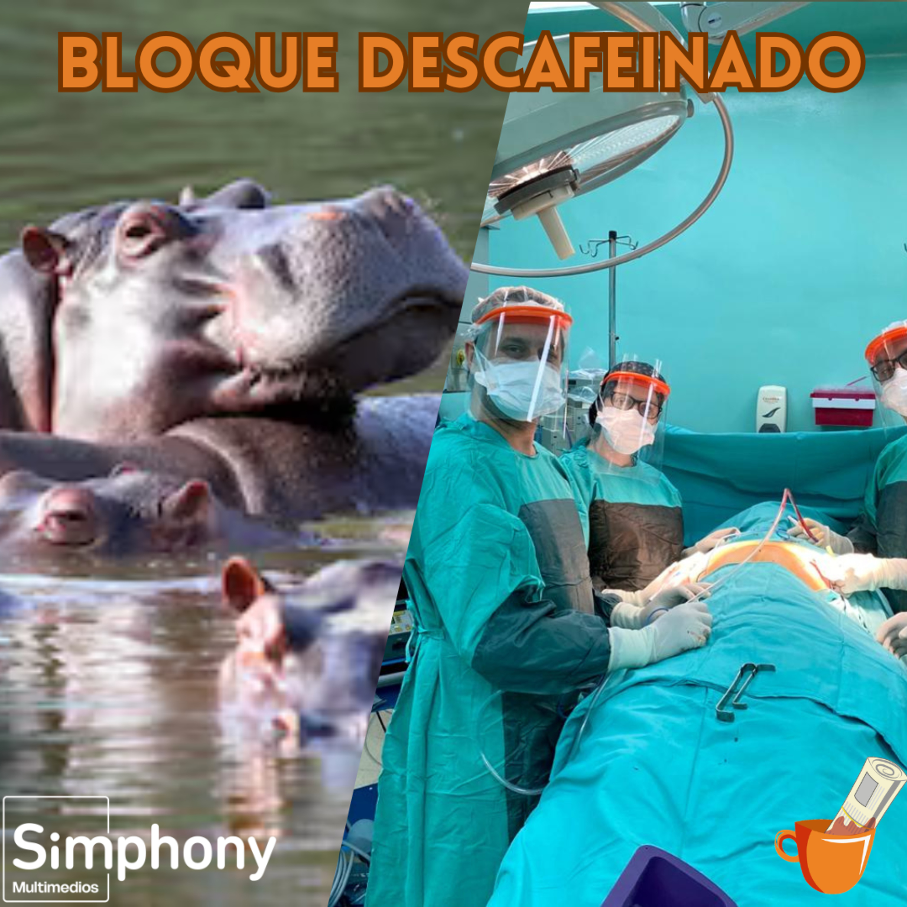 Portada de Noticias Descafeinadas