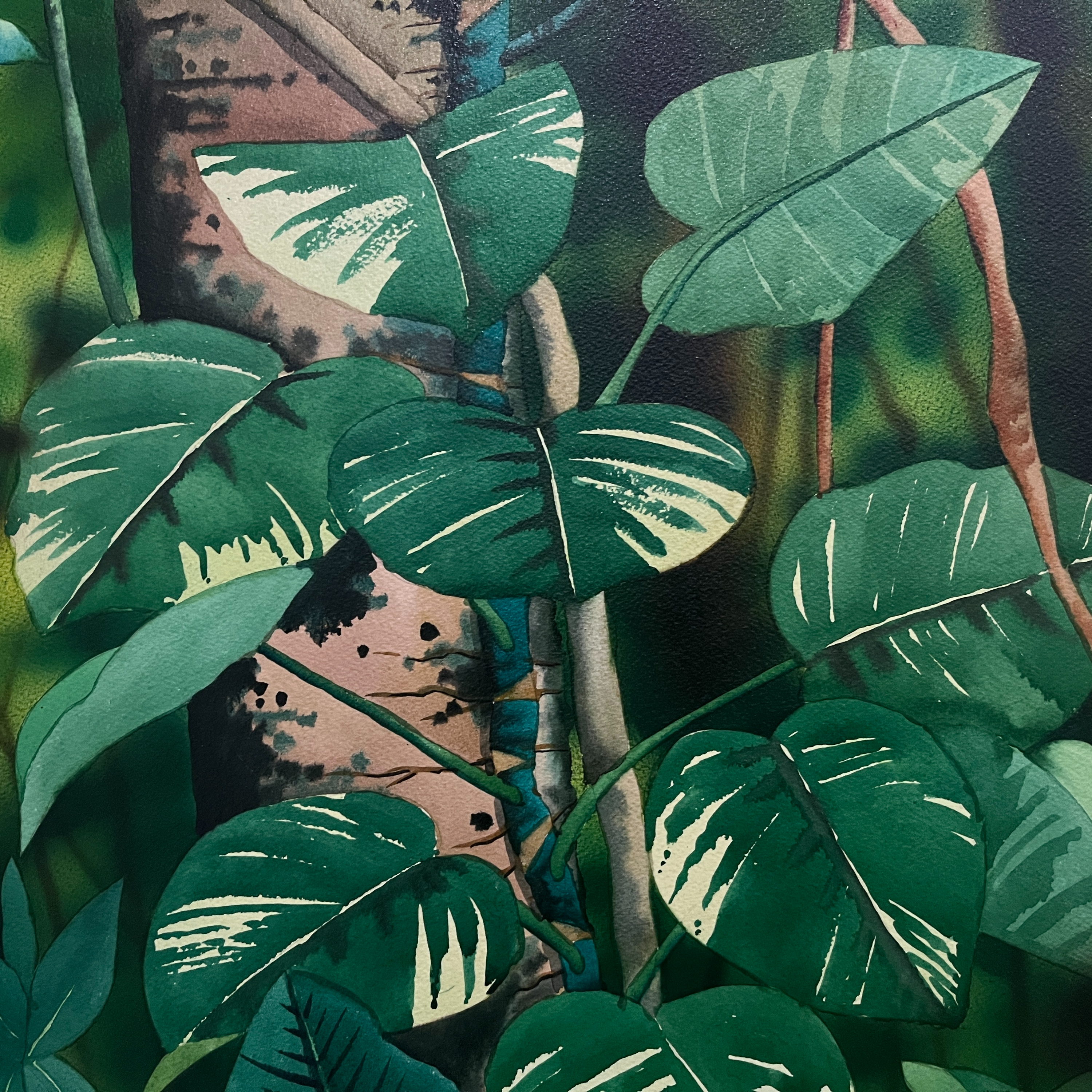 Exposición ¨Colombia Amazónica¨ de César Bertel episode artwork