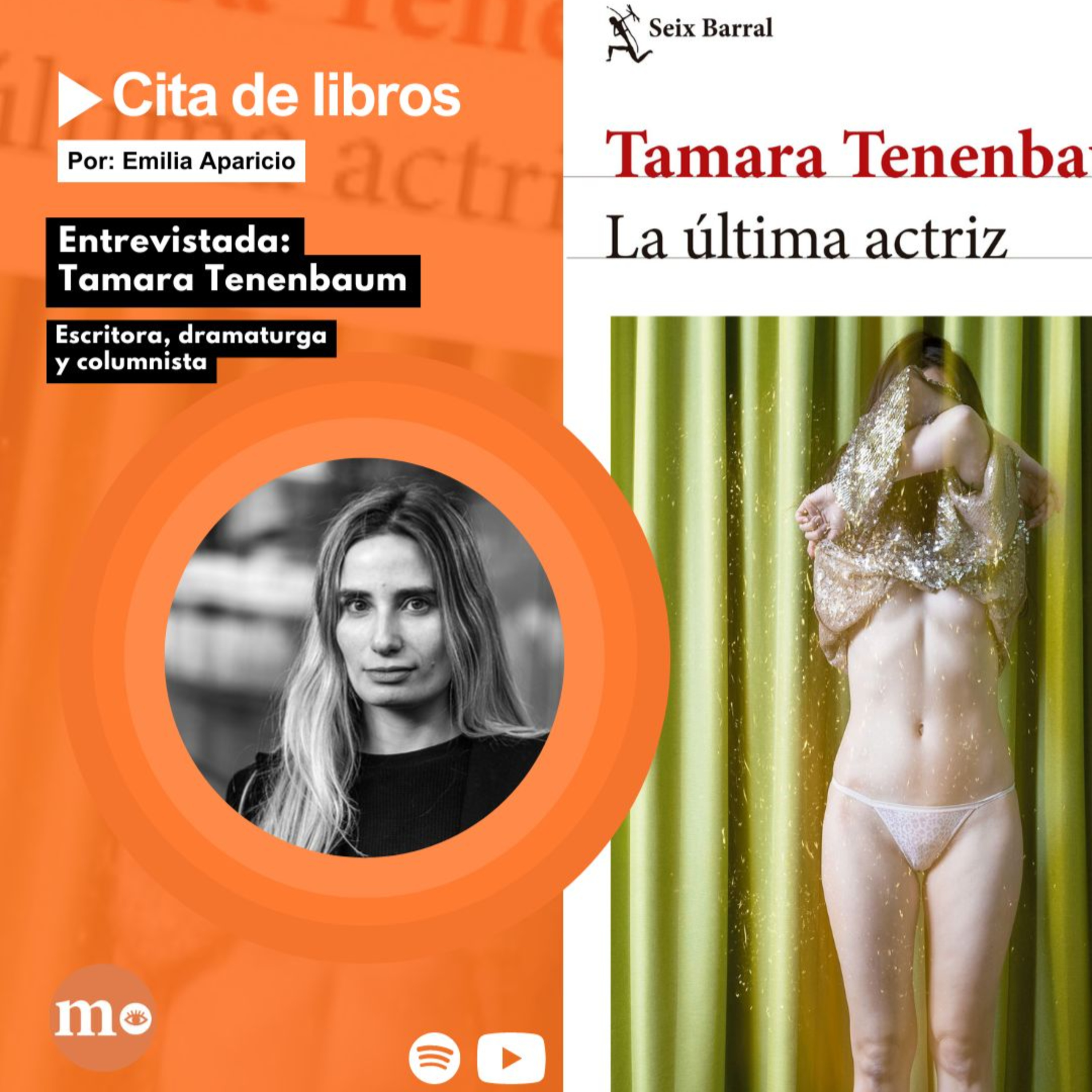 Tamara Tenenbaum, autora argentina: "La gente no tiene plata para pagar entradas o comprar libros" episode artwork