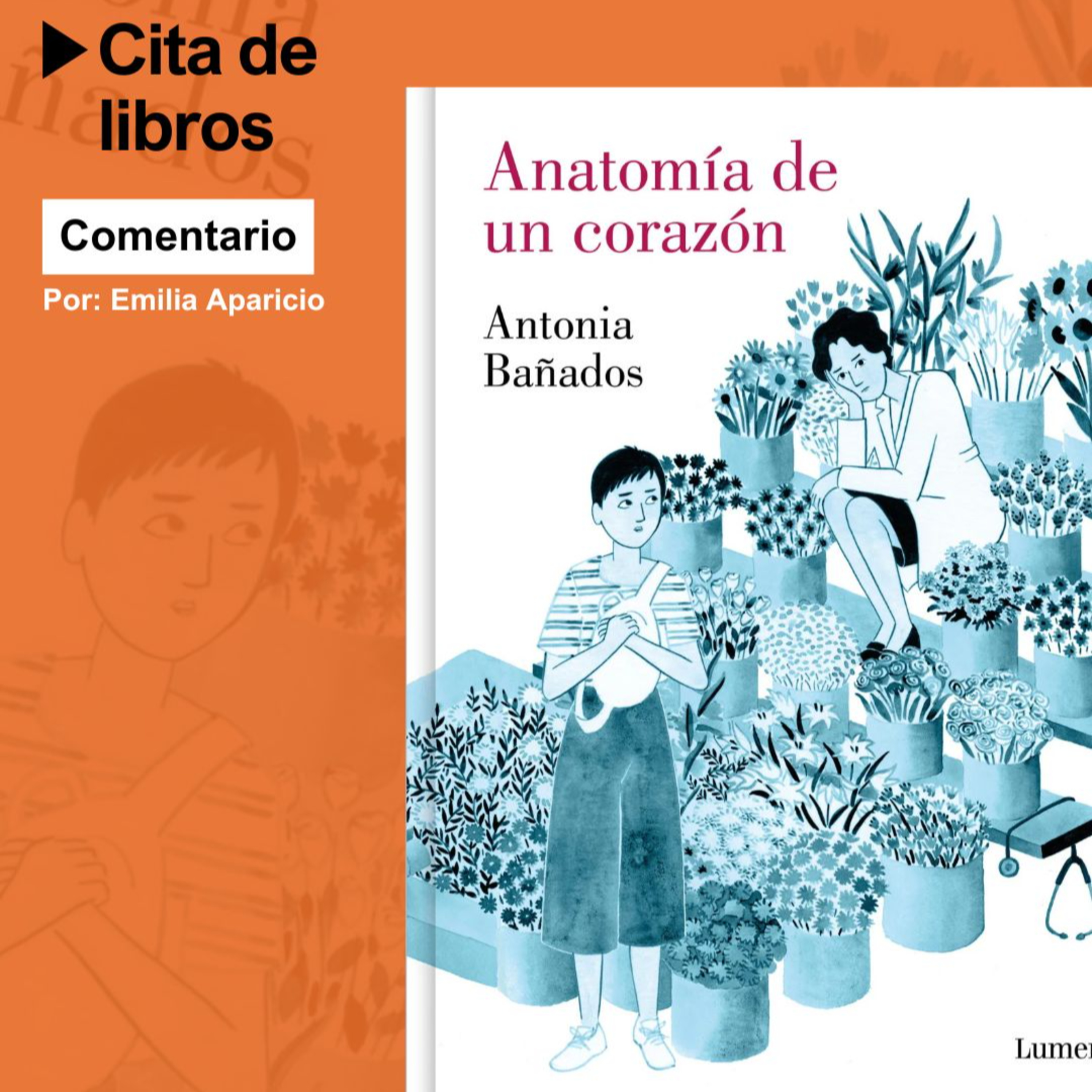 Cómics, mujeres y libertad: "Anatomía de un corazón" la nueva novela gráfica de Antonia Bañados episode artwork