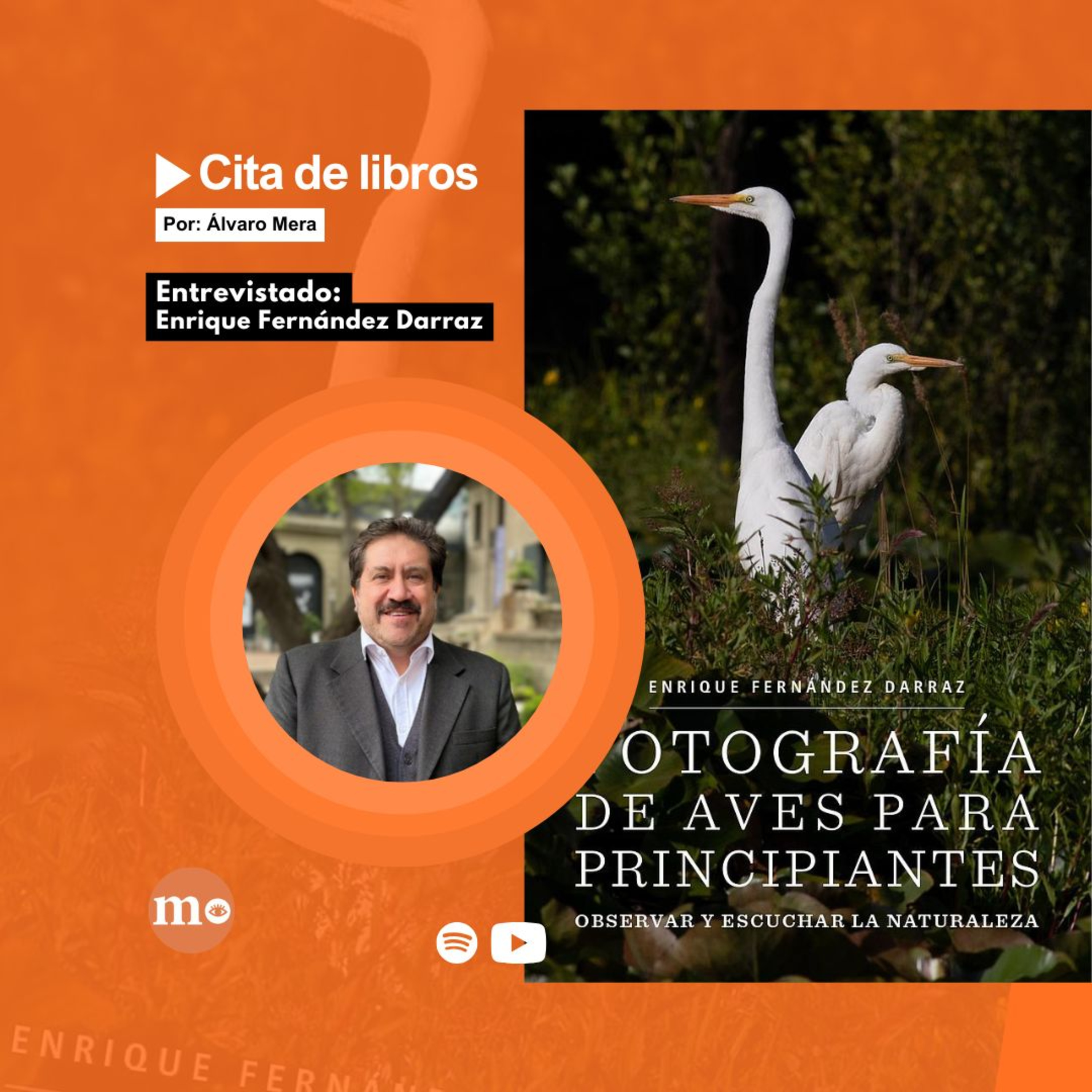 Del fusil a la cámara: Enrique Fernández y su viaje hacía la fotografía de aves episode artwork