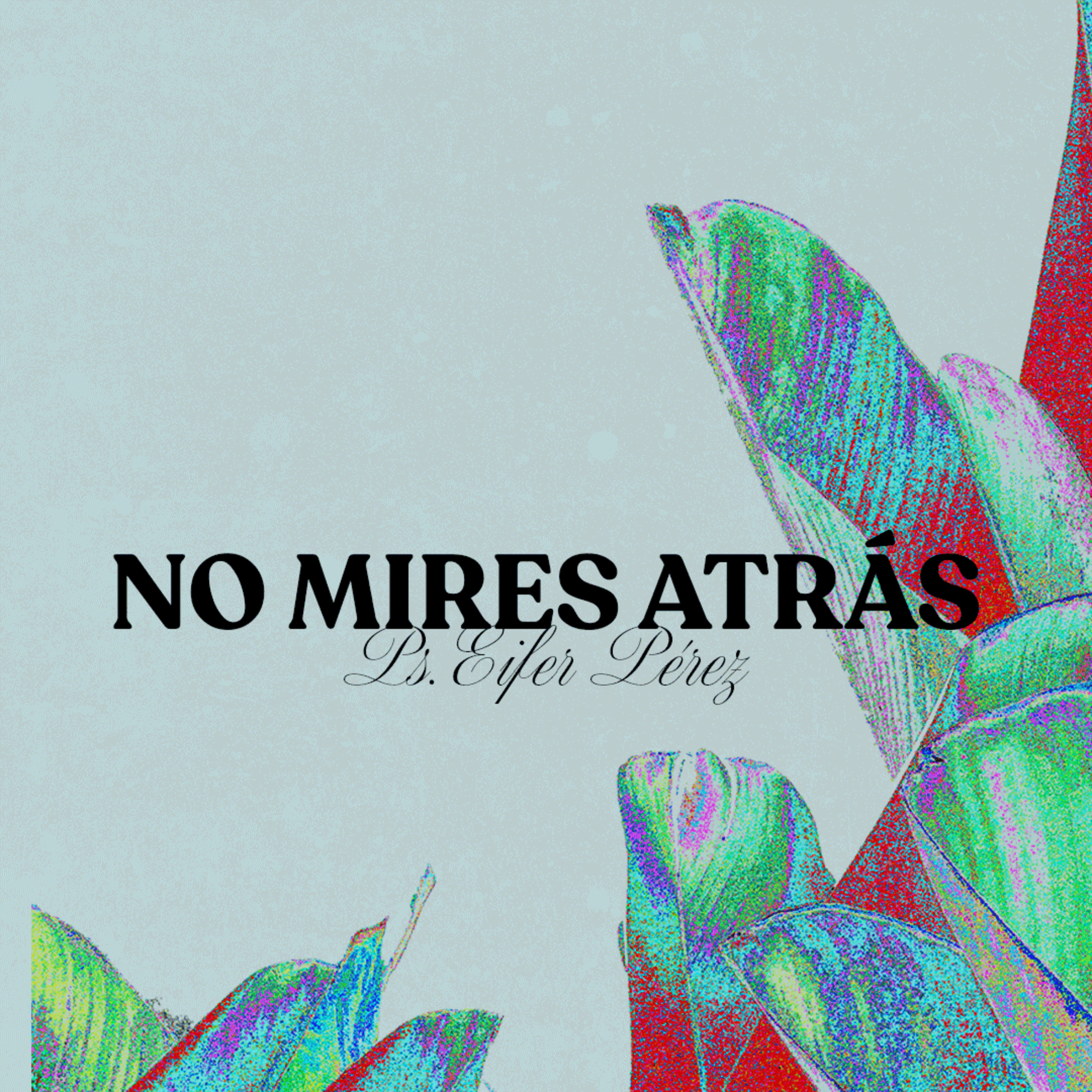 Portada de Más Vida Caracas