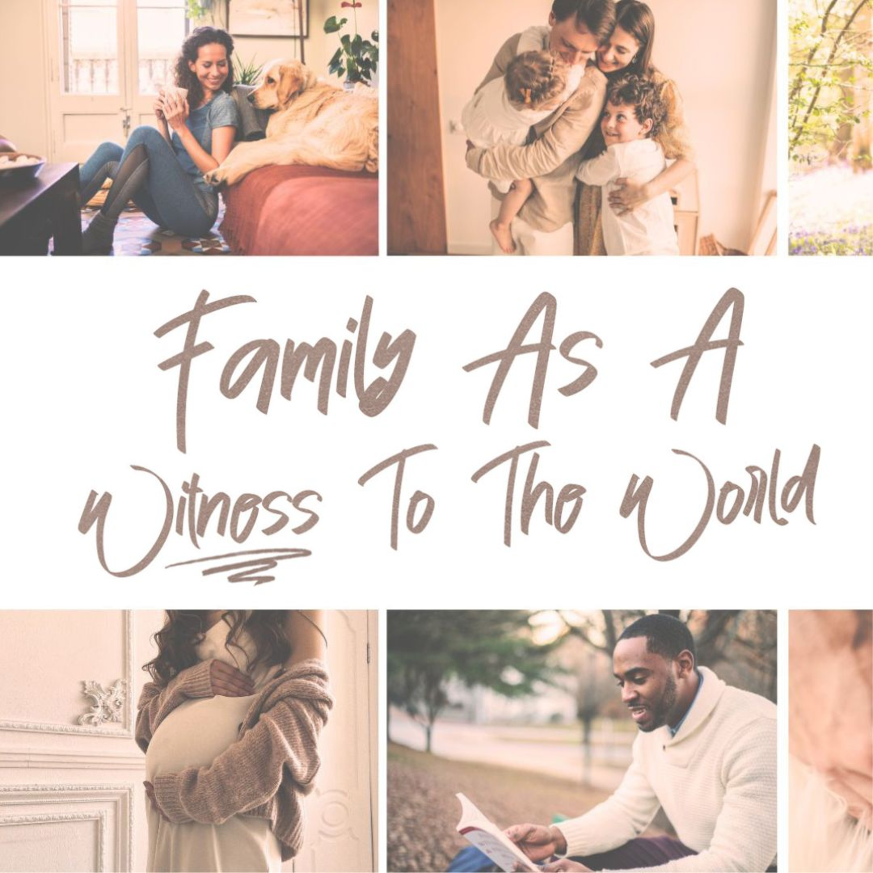 Family As A Witness To The World